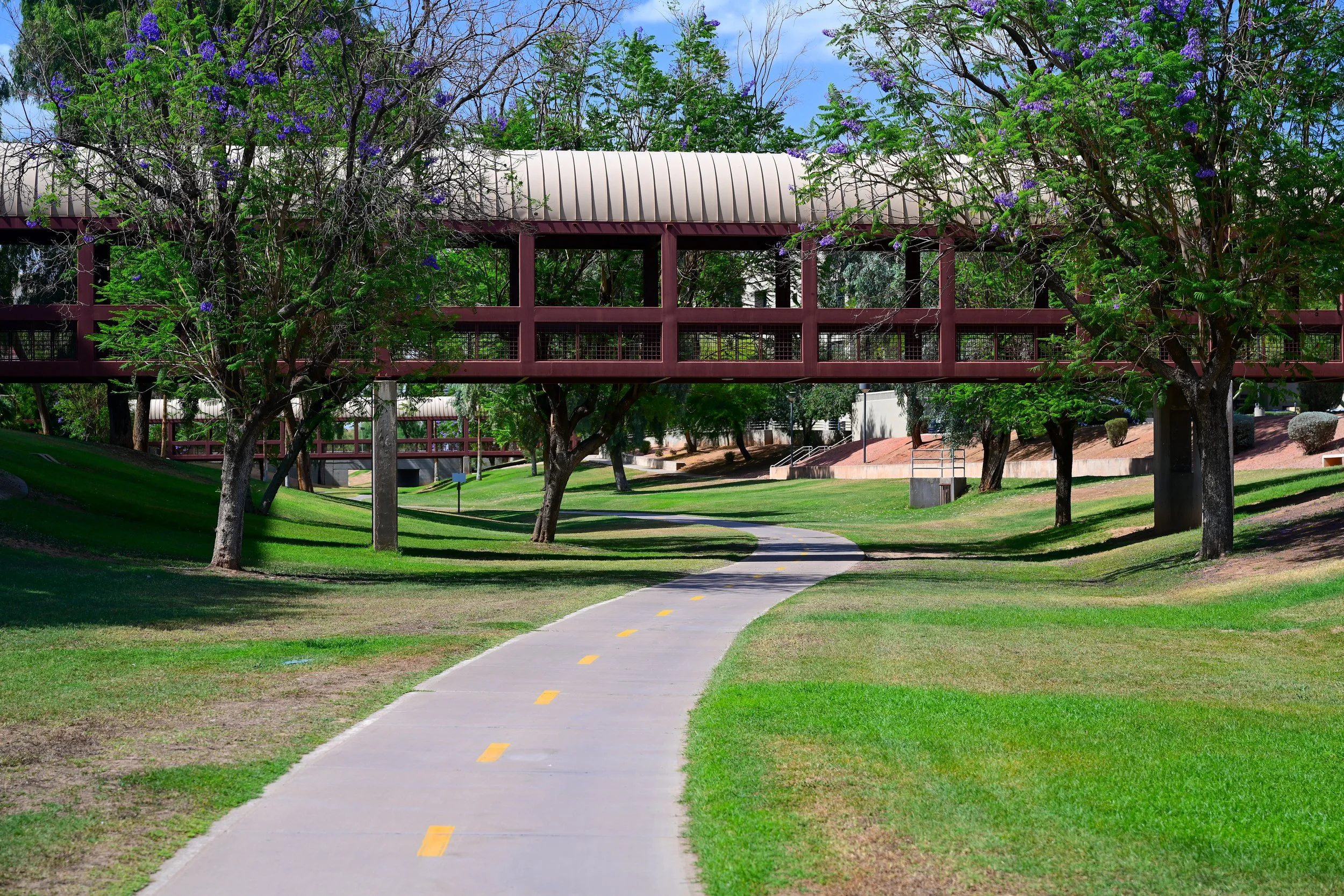 ScottsdaleGreenbeltGuide-060.jpg