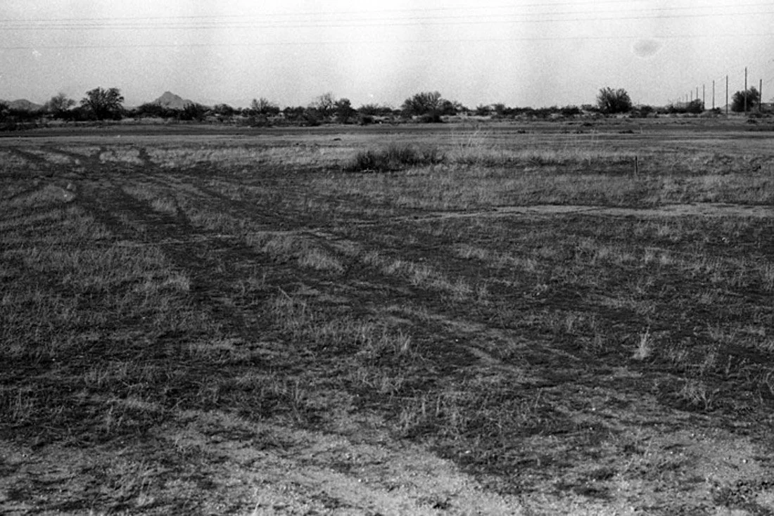 A vast, open desert landscape with tire tracks in the dirt, sparse vegetation, and mountains in the distance under a cloudy sky.