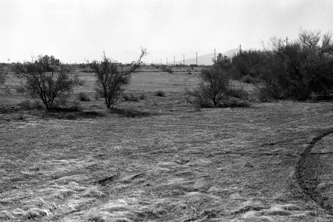 Desert landscape in black and white with sparse bushes, dirt road, and power lines in the distance.