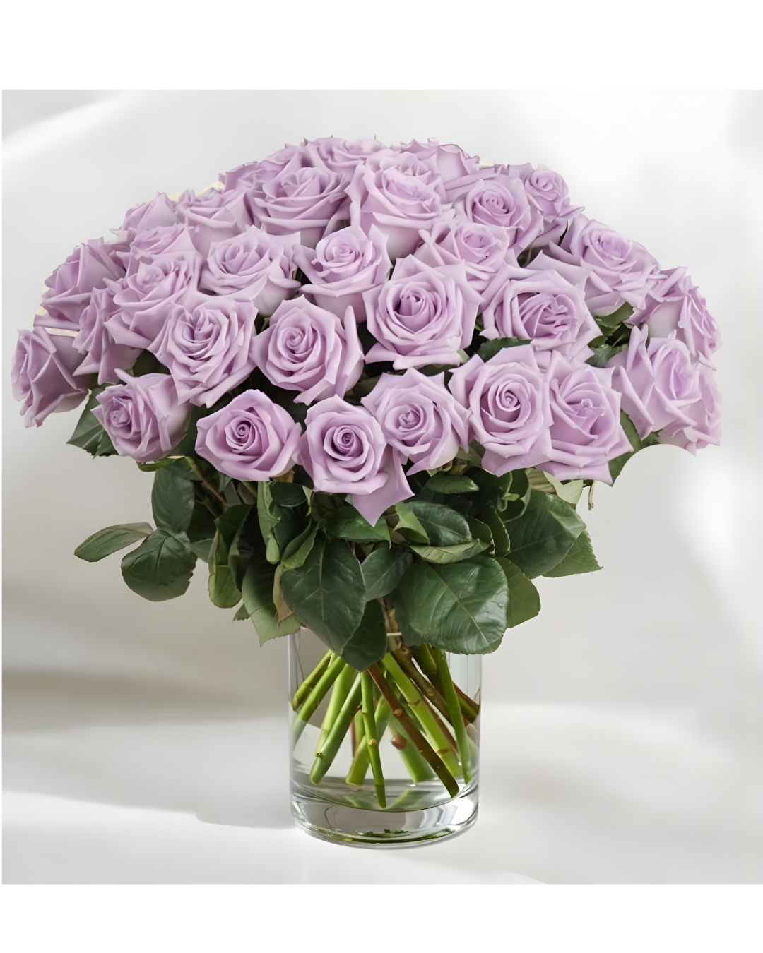 Valentine's Day | 2 Dozen Lavender Roses