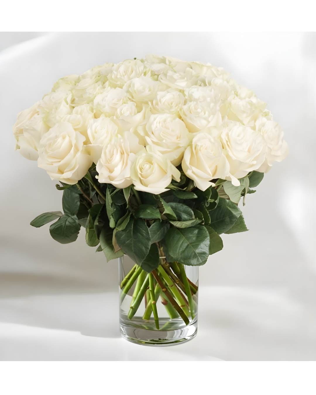 Valentine's Day | 2 Dozen White Roses