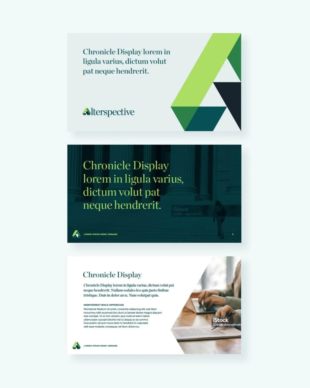 Alterspective presentation.jpg