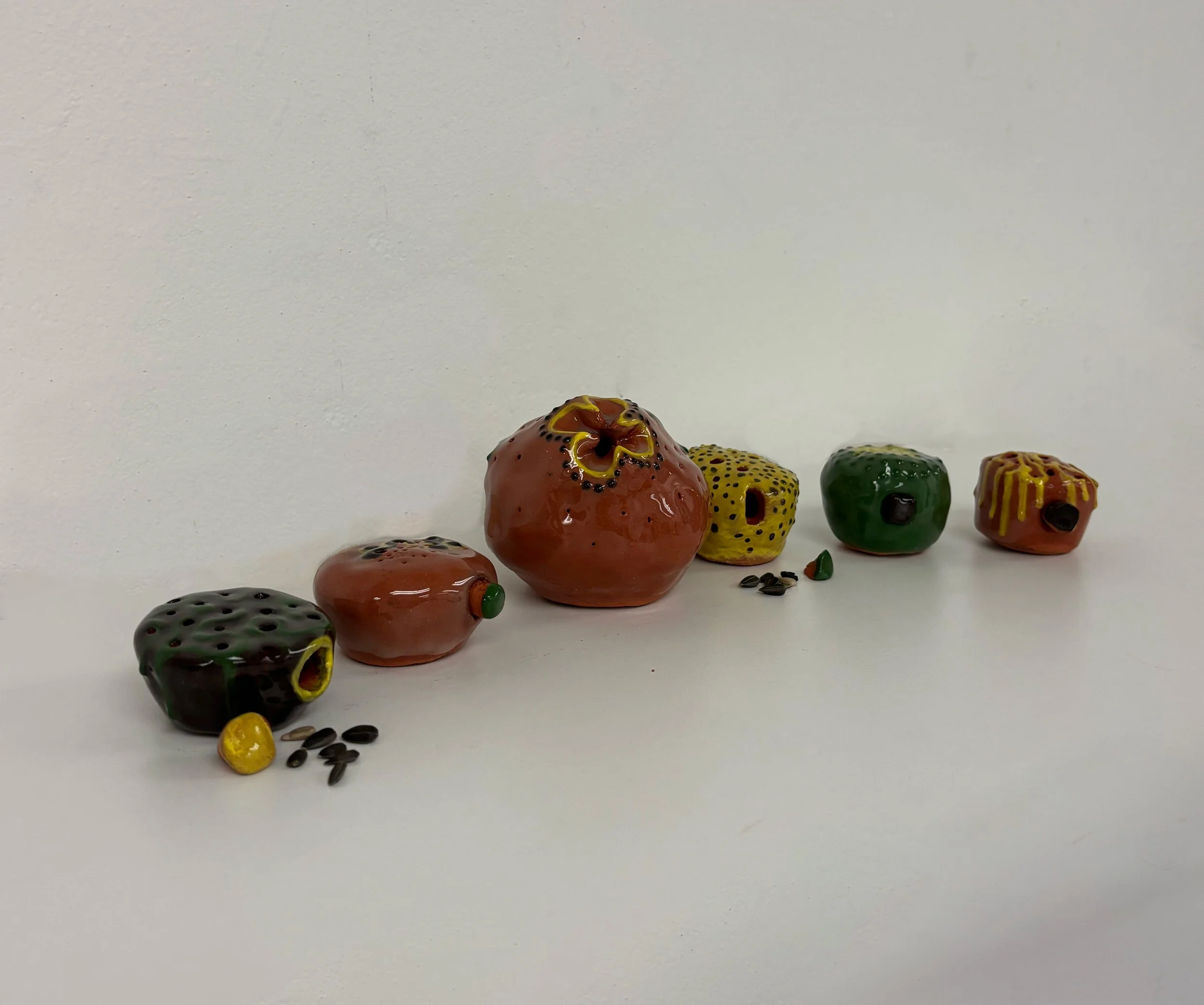 Seed Shakers 