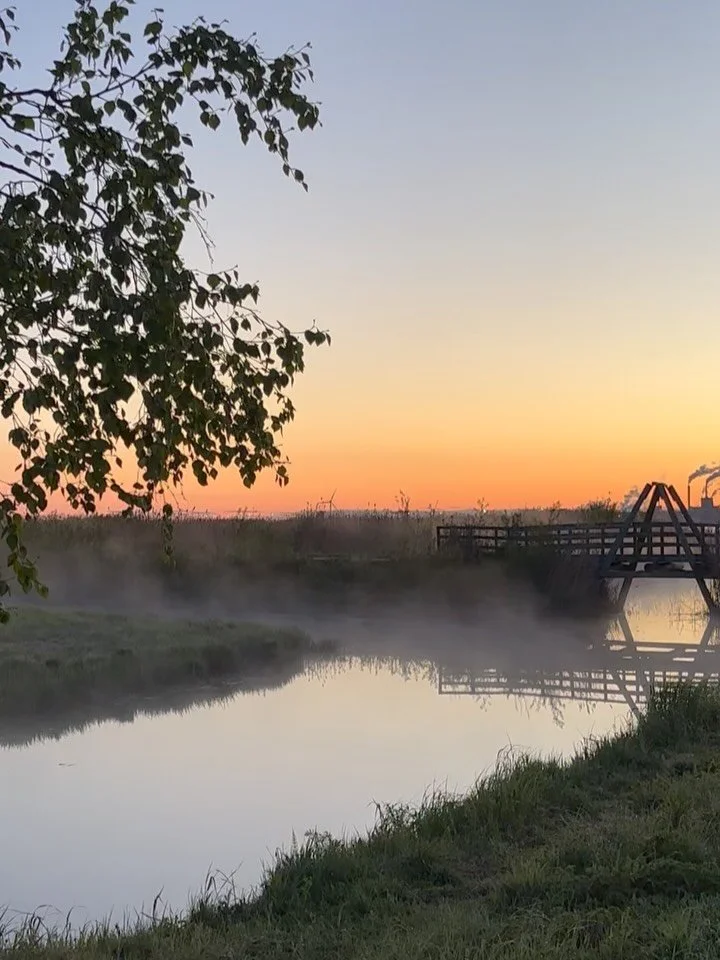 viime p&auml;ivi&auml; el&auml;m&auml;ss&auml; 🌺