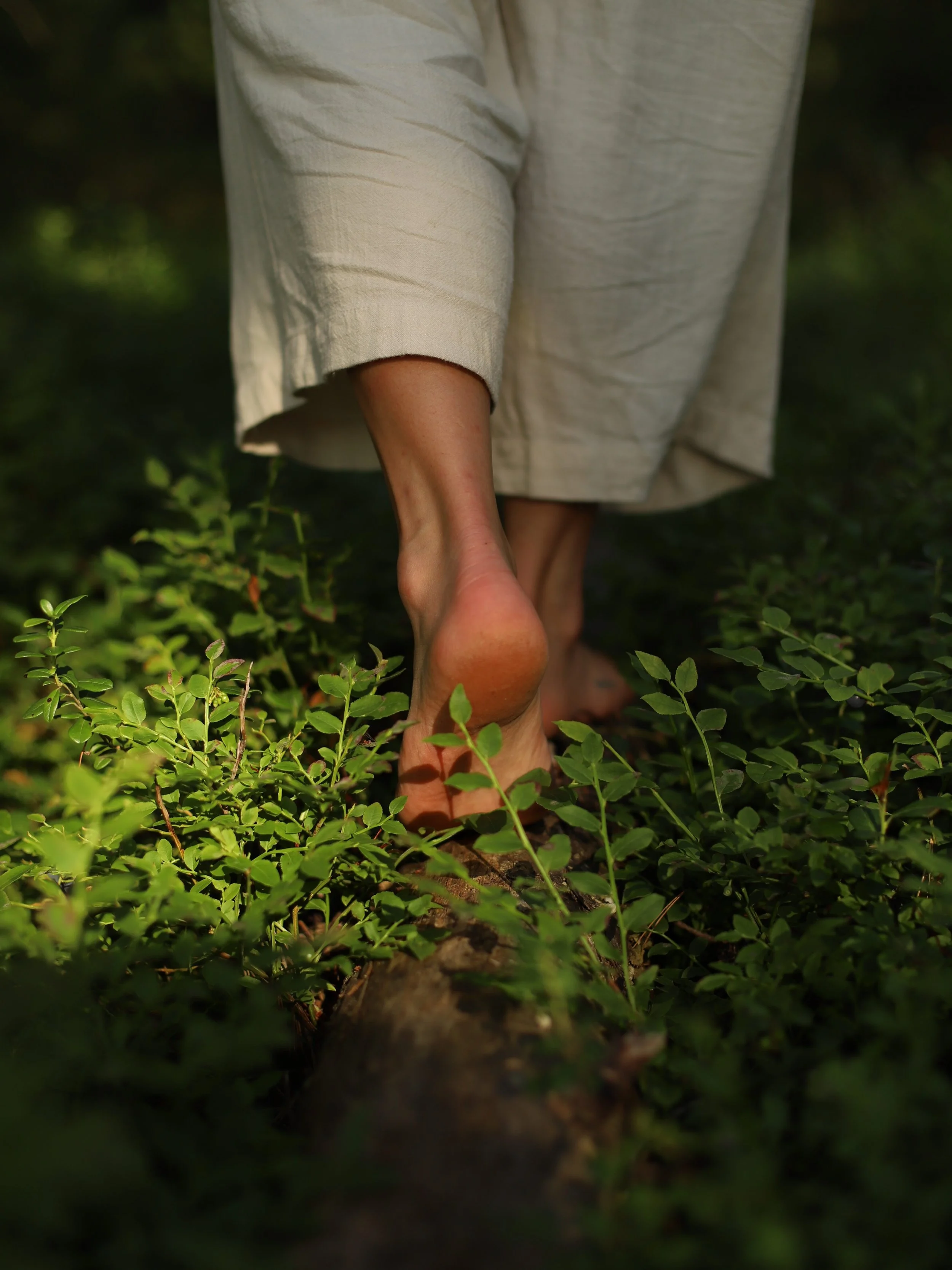 Mit&auml; olisi kes&auml; ilman PUISTOJOOGAA? 🌼
&bull; to 4.-25.6. klo 17.15-18 @isajooga_studio 

Kes&auml;perinteeksi jo muodostunut puistojooga joogaillaan t&auml;n&auml; kes&auml;n&auml; @isajooga_studio piha-alueella - korkeiden, vanhojen, viis