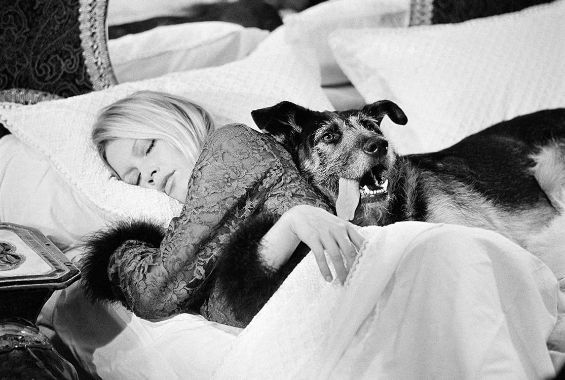 Terry-ONeill-Brigitte-Bardot-with-dog-on-set-of-Les-Novices.jpg