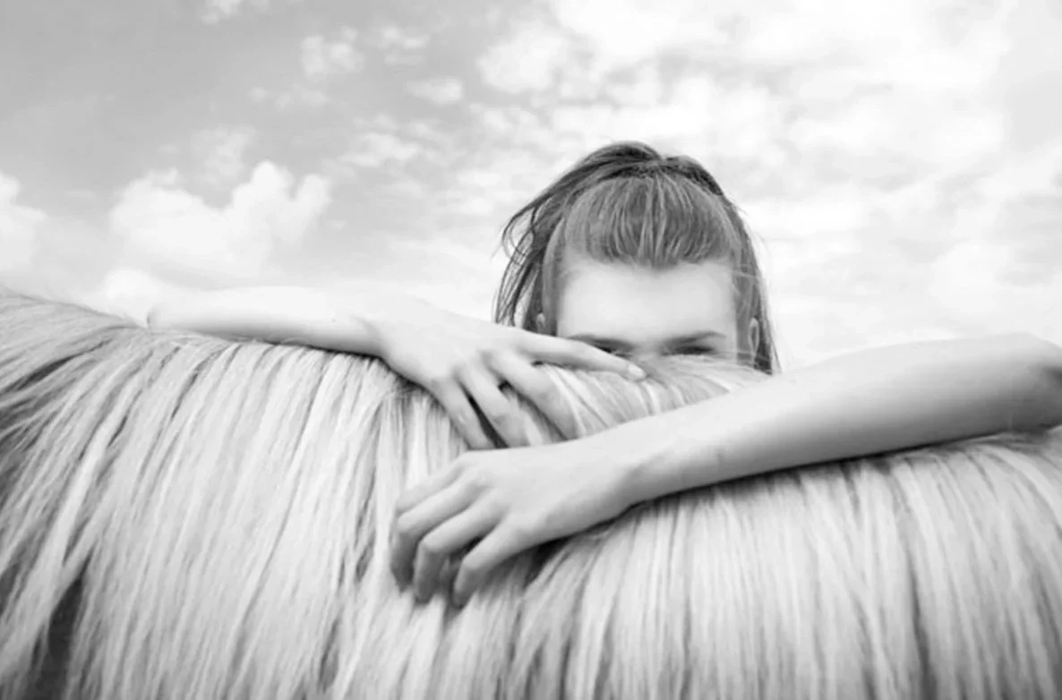 Donna DeMari: Through the Horse’s Eye