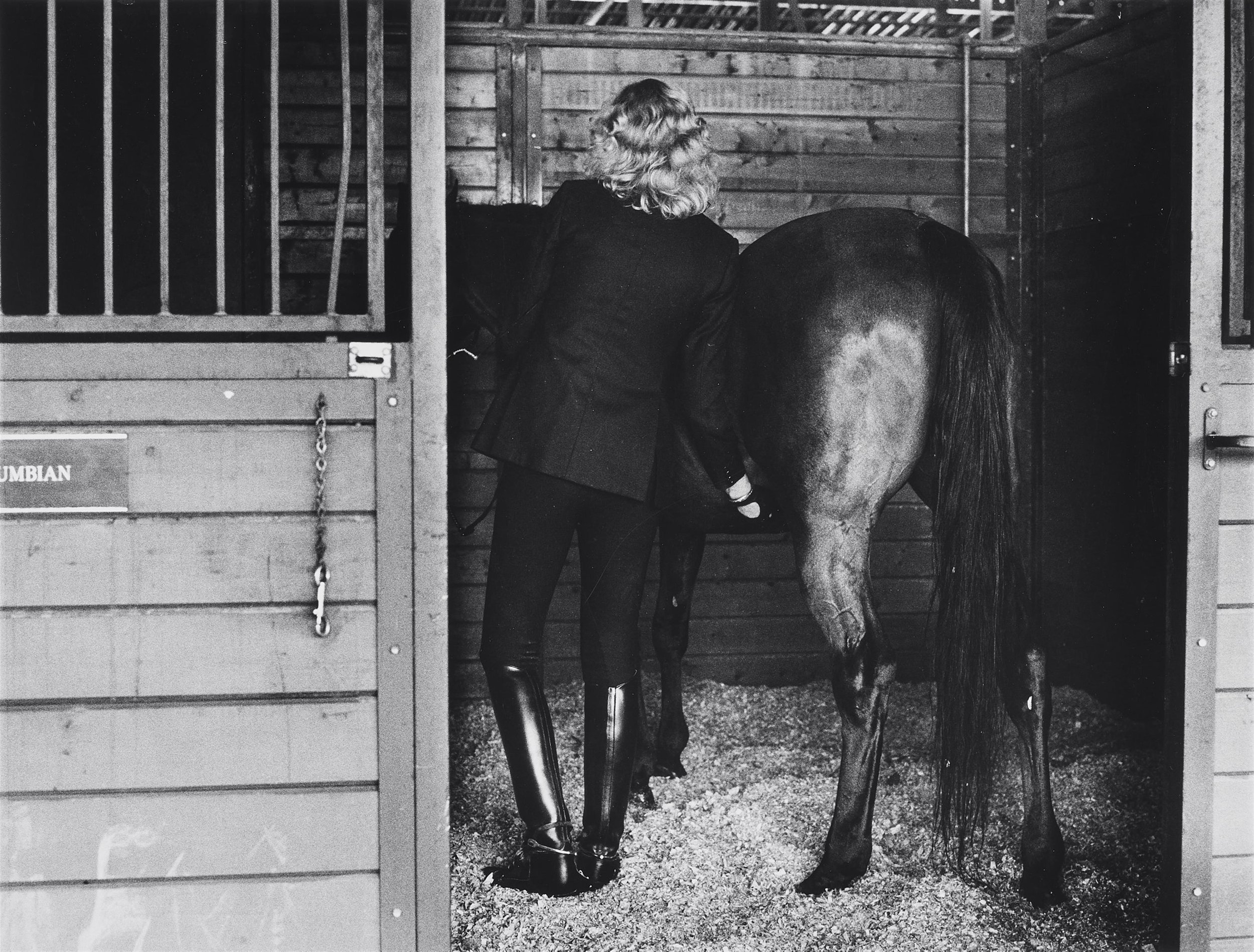 1255-643-Helmut-Newton-Woman-with-Hors.jpg