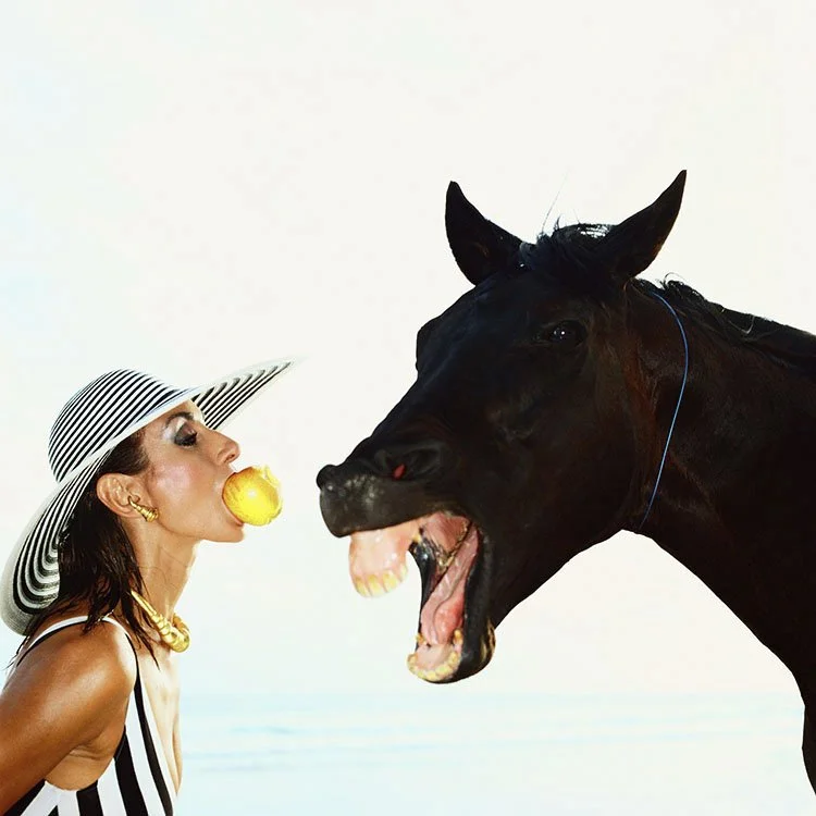 The Year of the Horse: On Power, Form, and the Lasting Presence of Horses in Photography