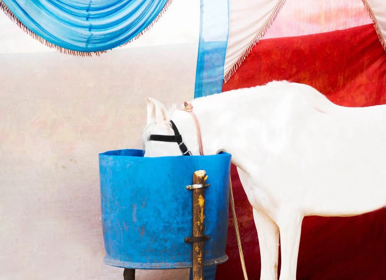 Blue Bucket w.jpg