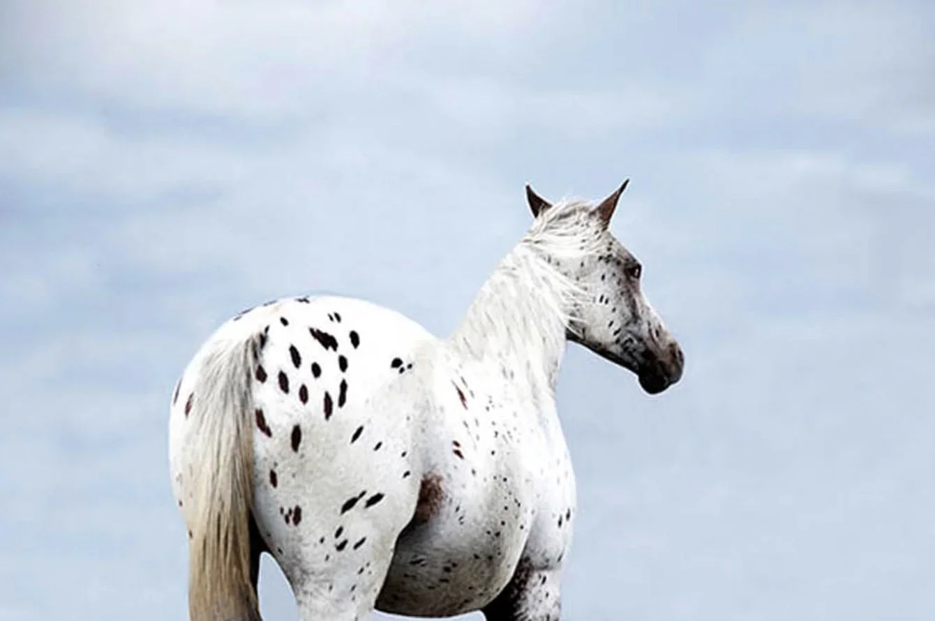 cielo.webp