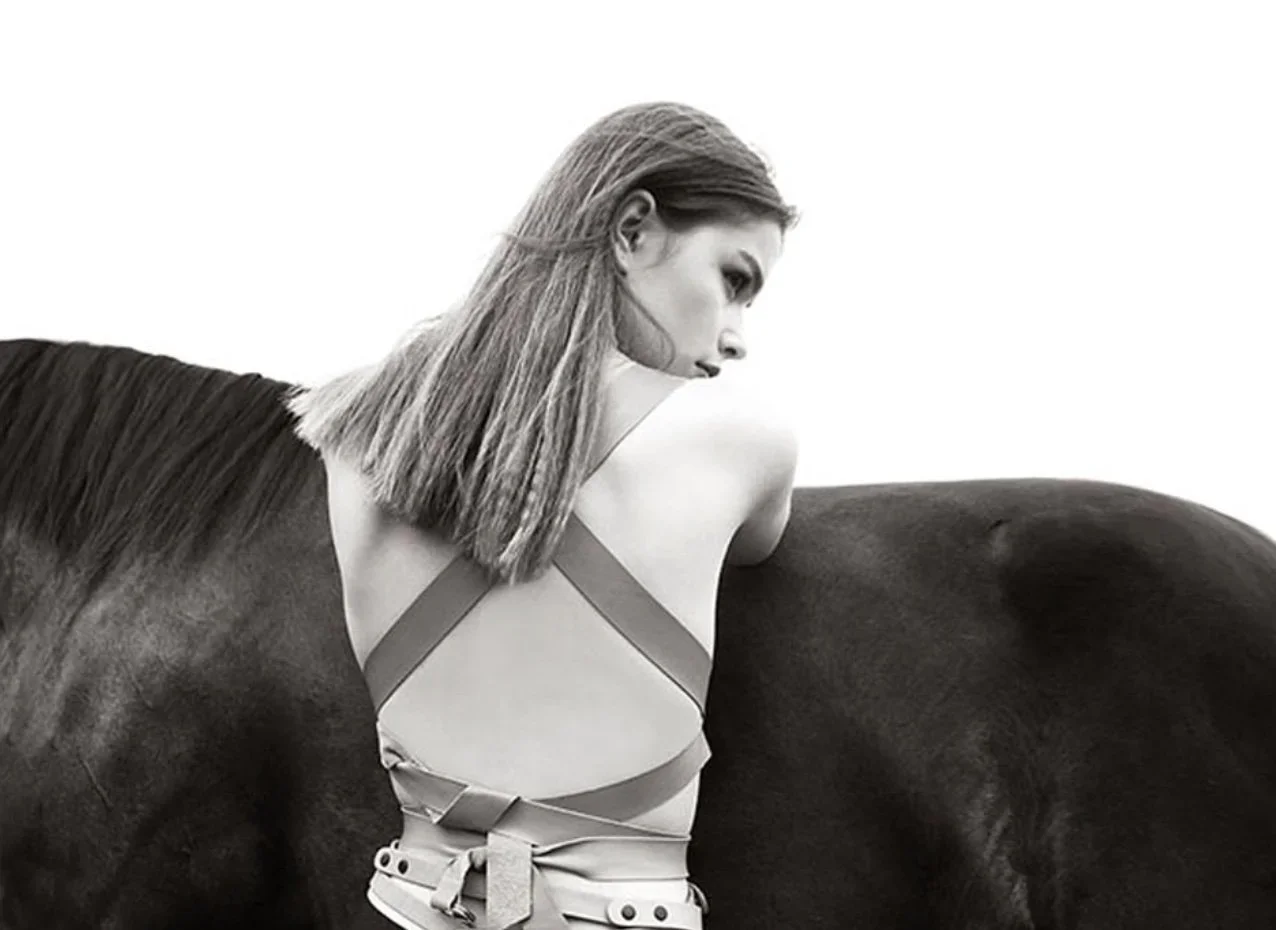 horseandhalterdonnademari-1.webp