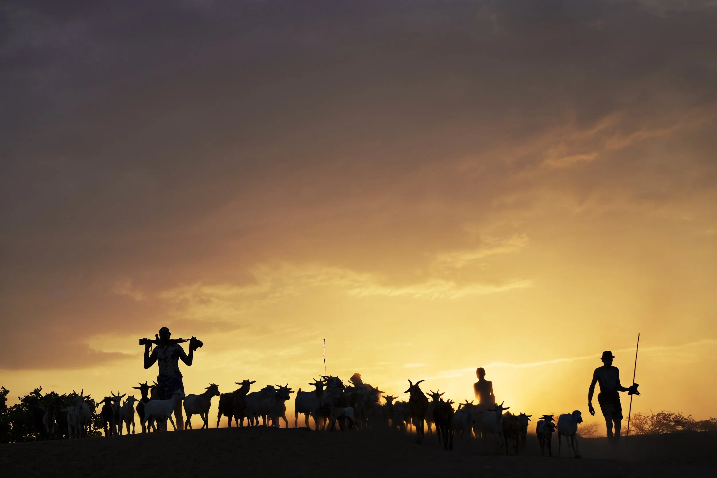 Dawn Herders by Cristina Mittermeier for sale at 1905 Contemporary