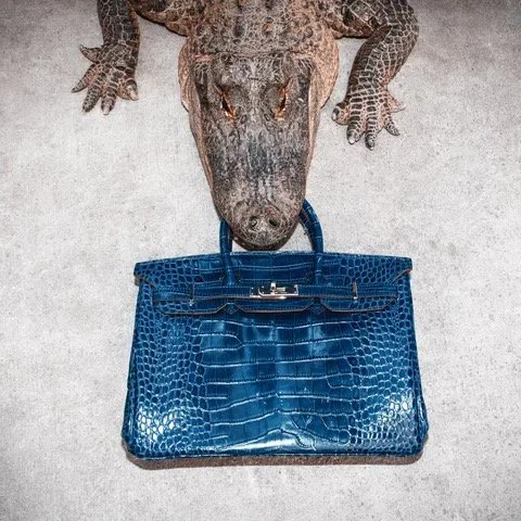 Blue Birkin Bite by Tyler Shields