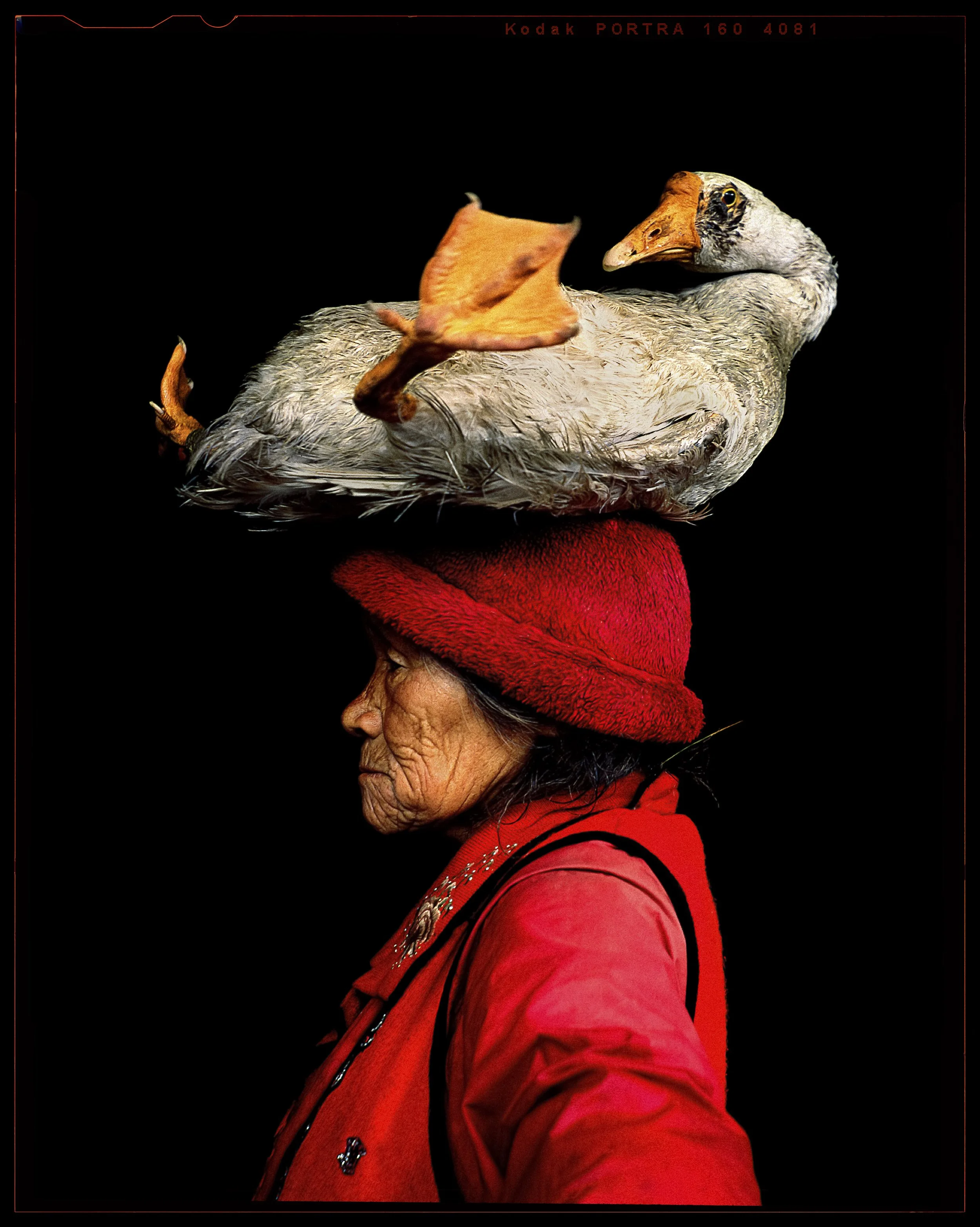 The Lady with the Goose II