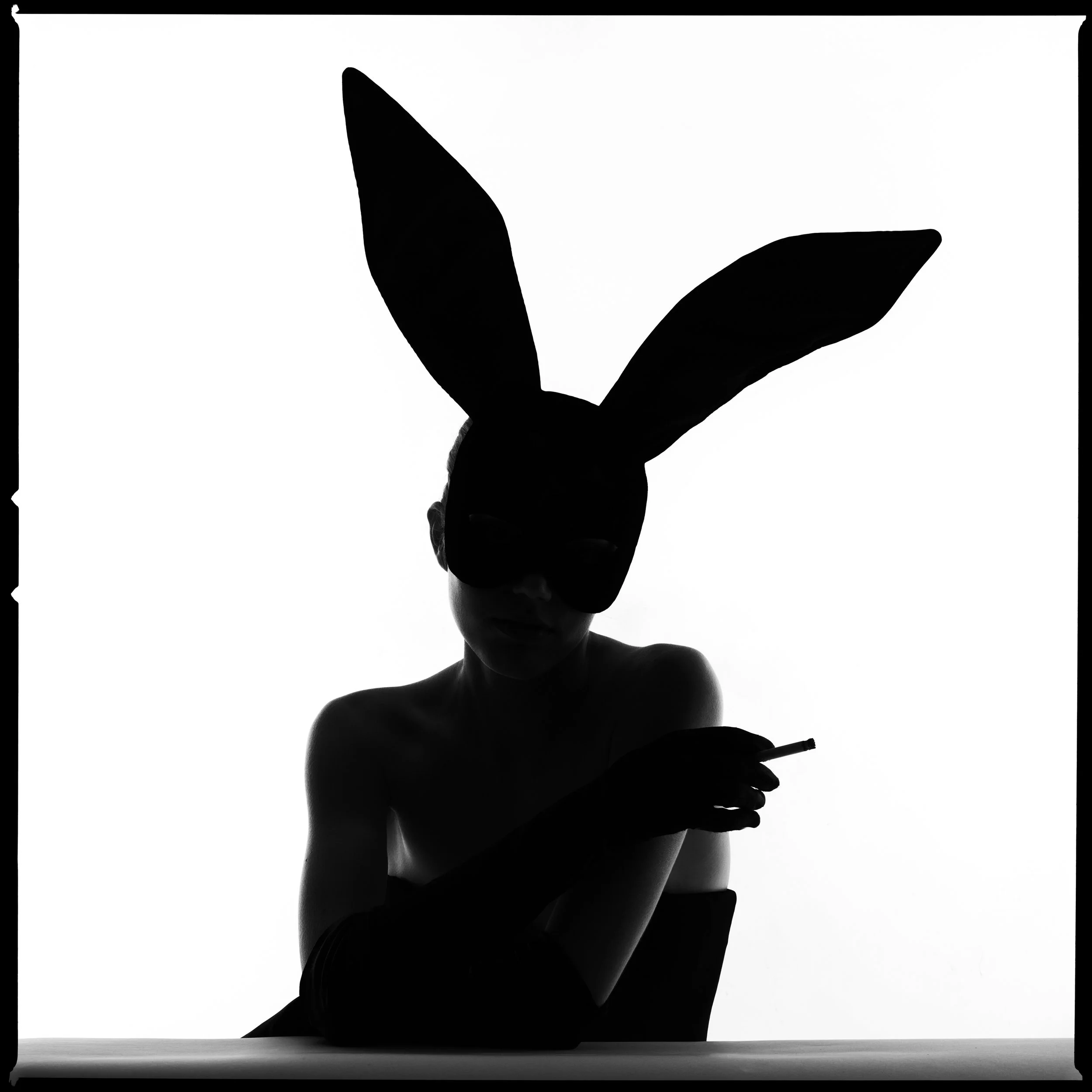 Bunny Silhouette Smoke_aaB7070454 2-30X30MASTER no adj.JPG