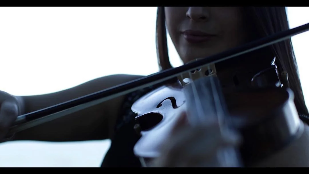 So excited to play tomorrow night at the beautiful East Gosford Gardens! #musician #violin #violinist #lovemusic #loveviolin #excited #music #play #performer