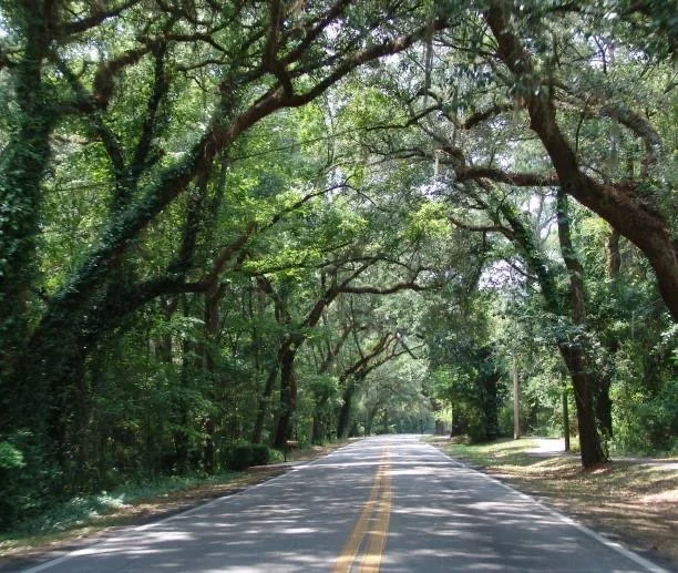 Residents demand sidewalks on Old Bainbridge Road