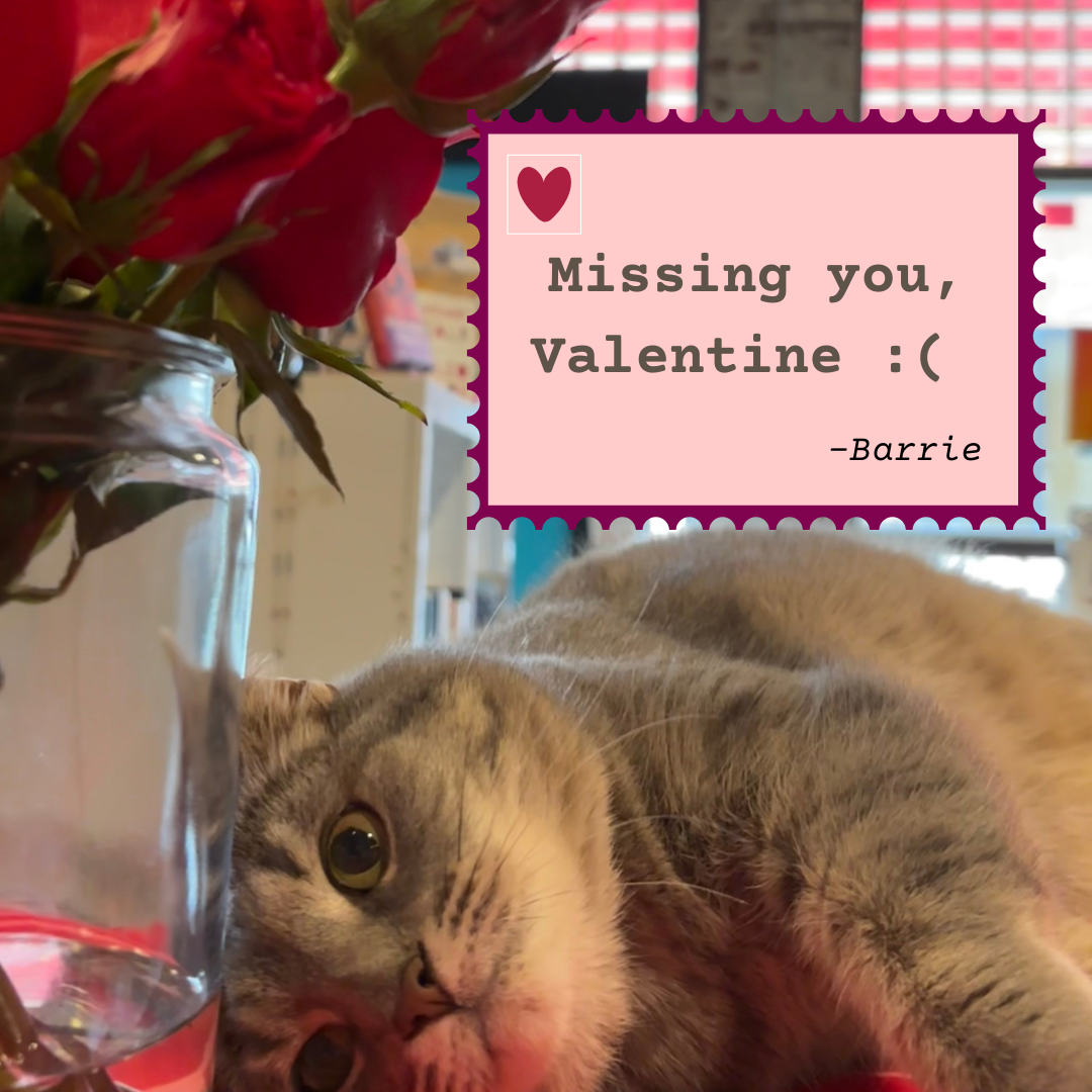 Missing you, Valentine..png