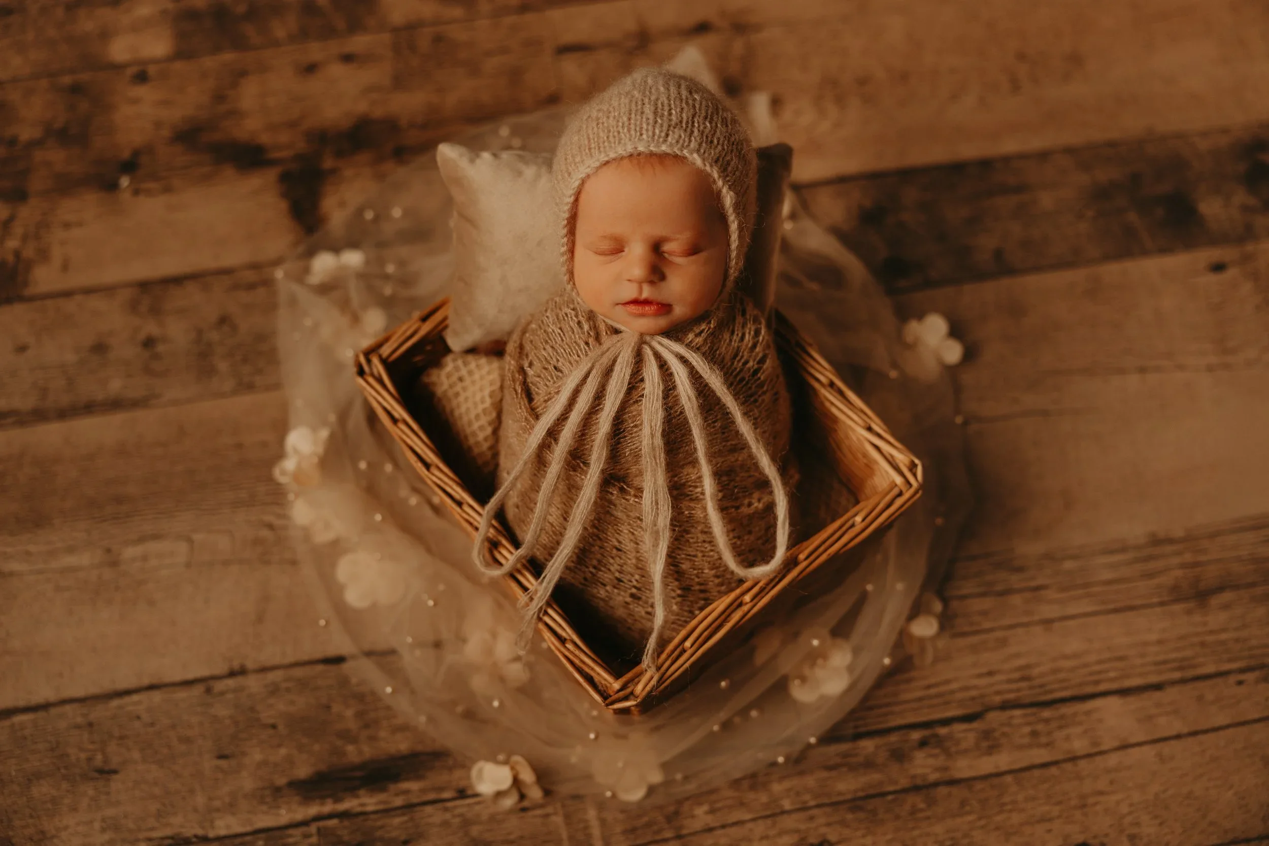 Newborn photos Calgary, AB