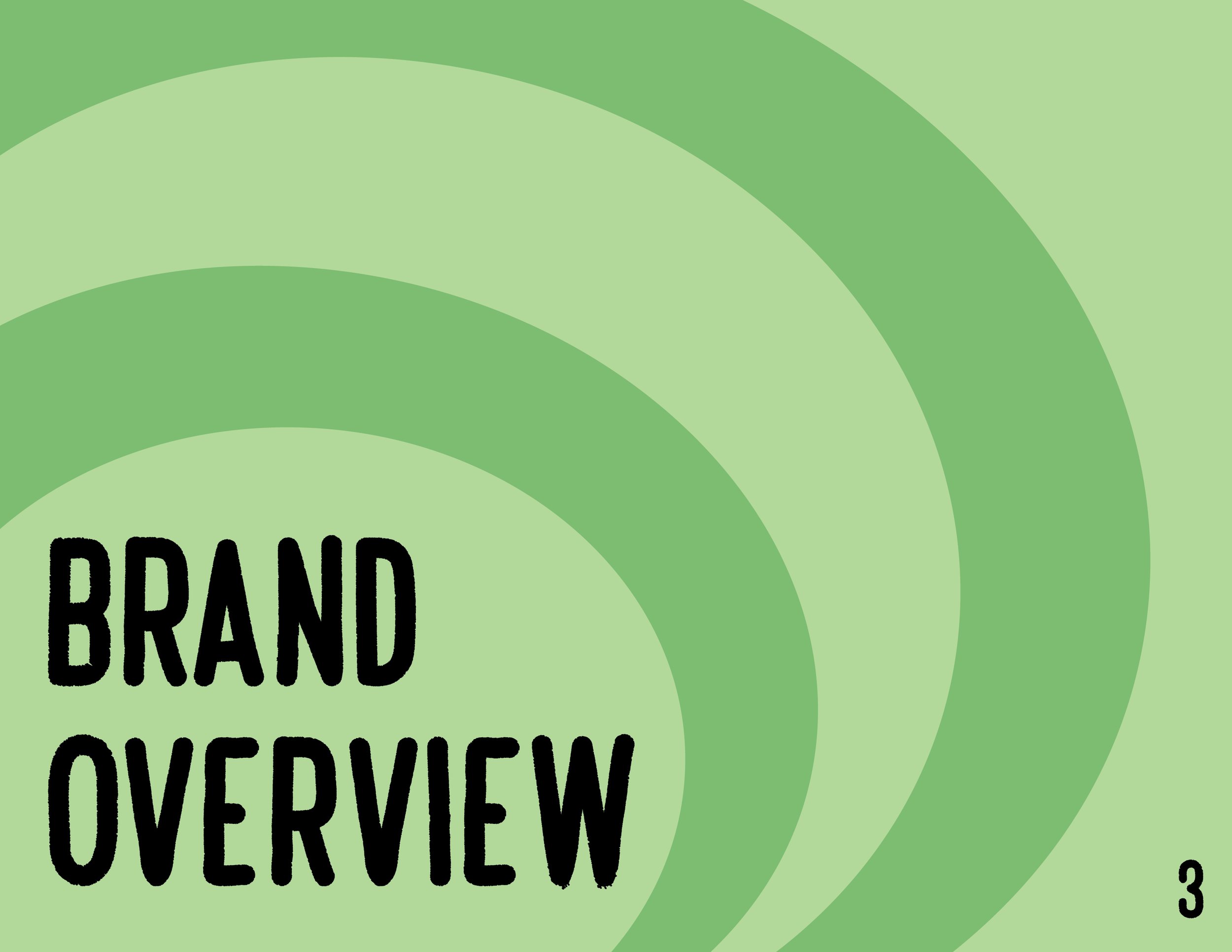 GoneSalty Brand Guides3.jpg