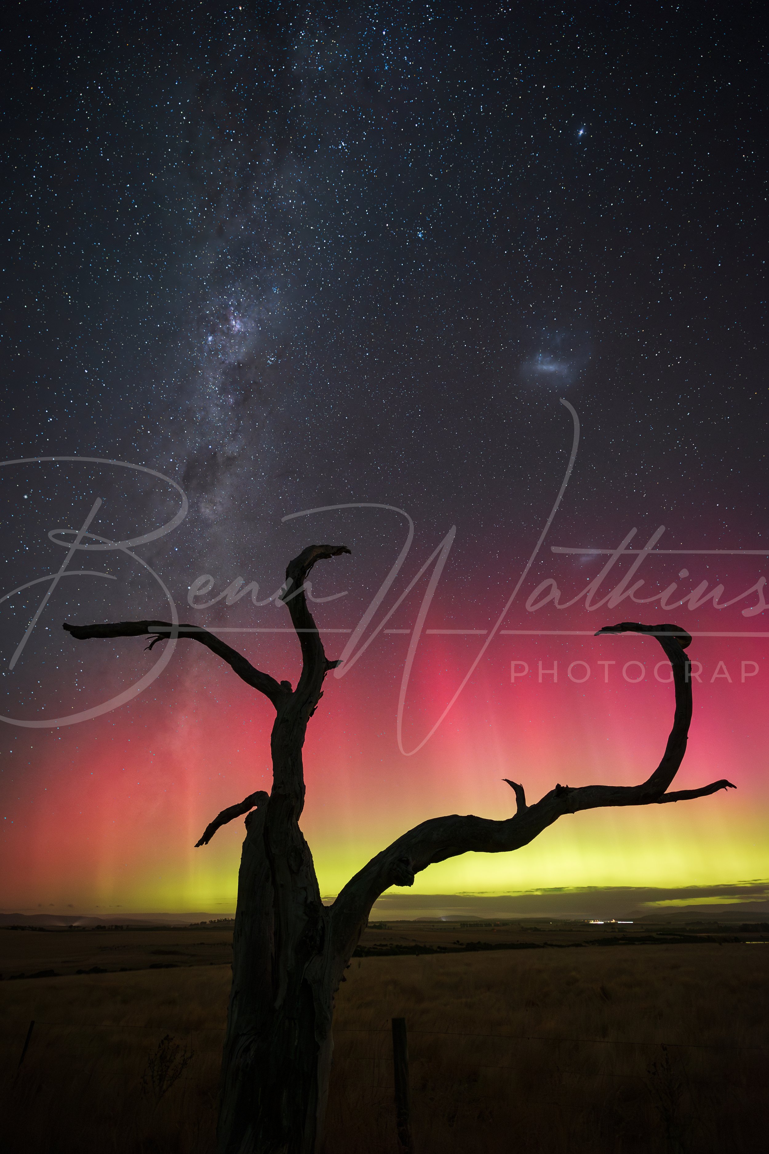 1J7A5670-Enhanced-NR-Edit.jpg