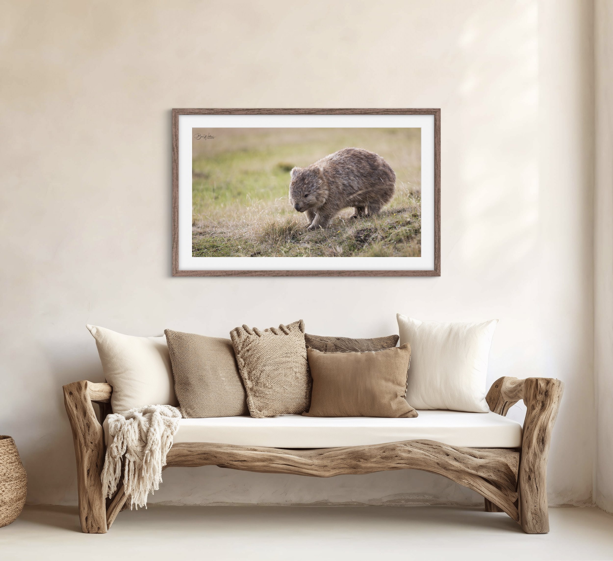 Wombat's Of Maria Scene .jpg