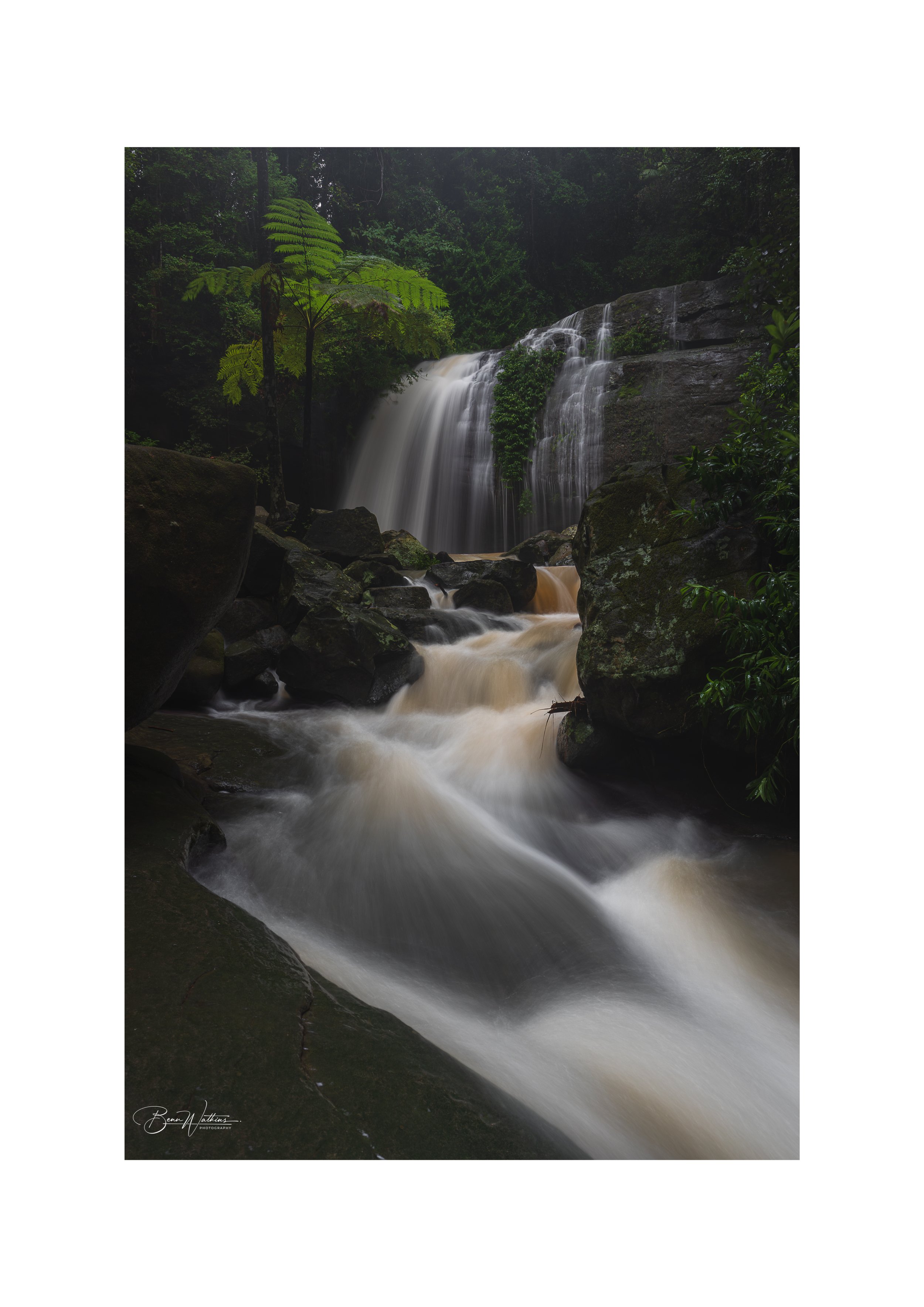 Serenity Falls Web File .jpg