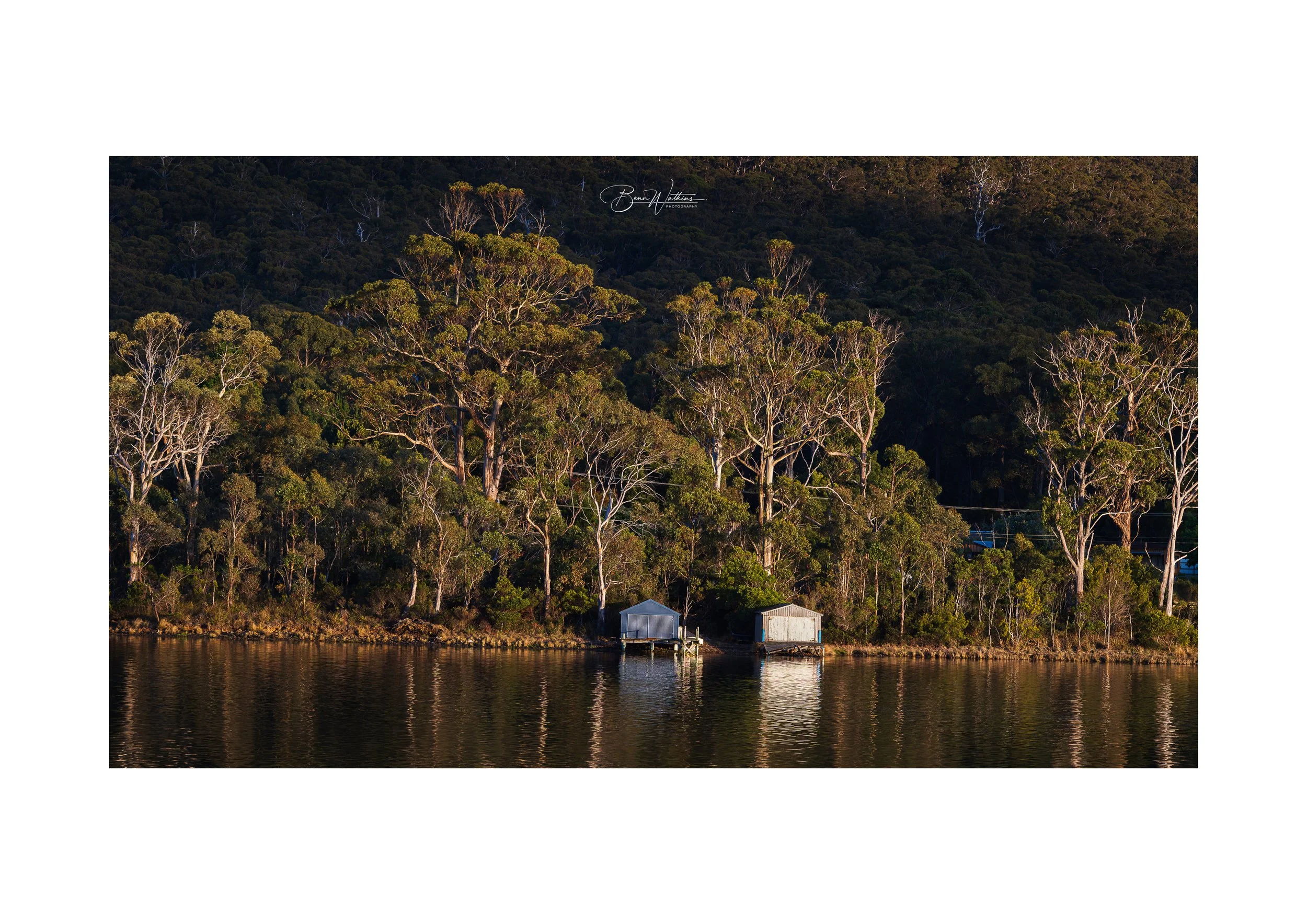 Eaglehawk Web File .jpg