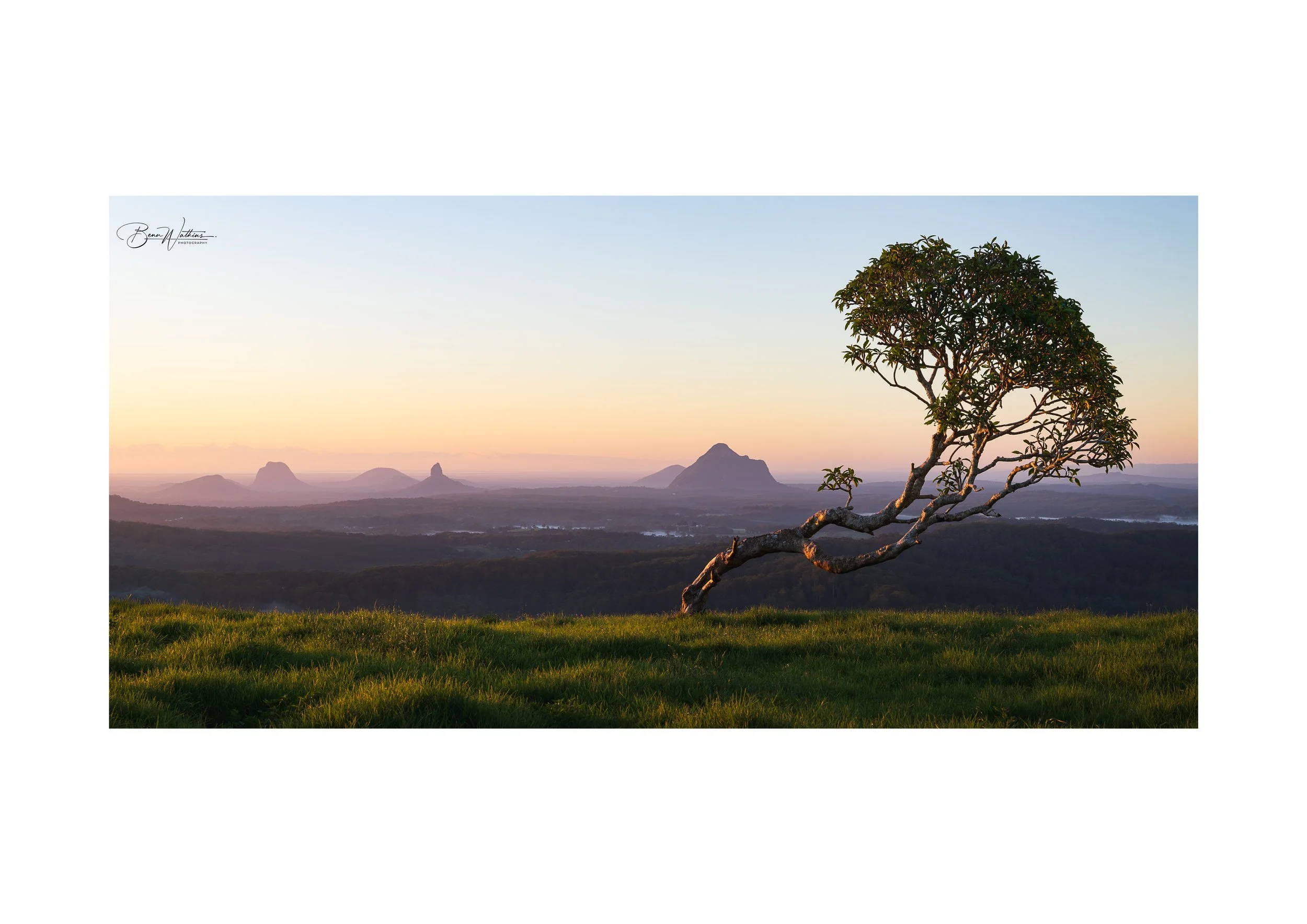 The Other One Web File .jpg