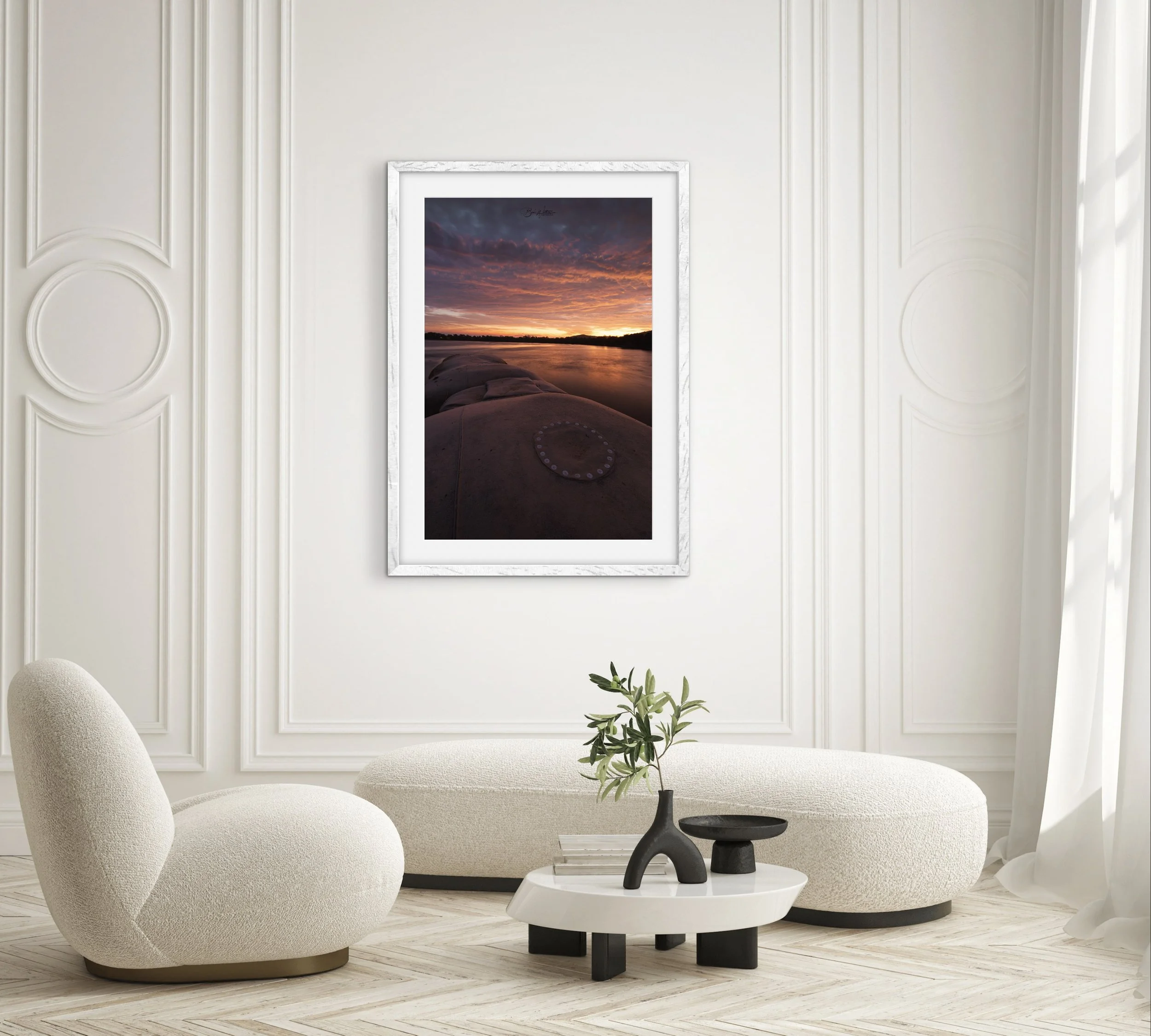 Dog Beach Scene .jpg