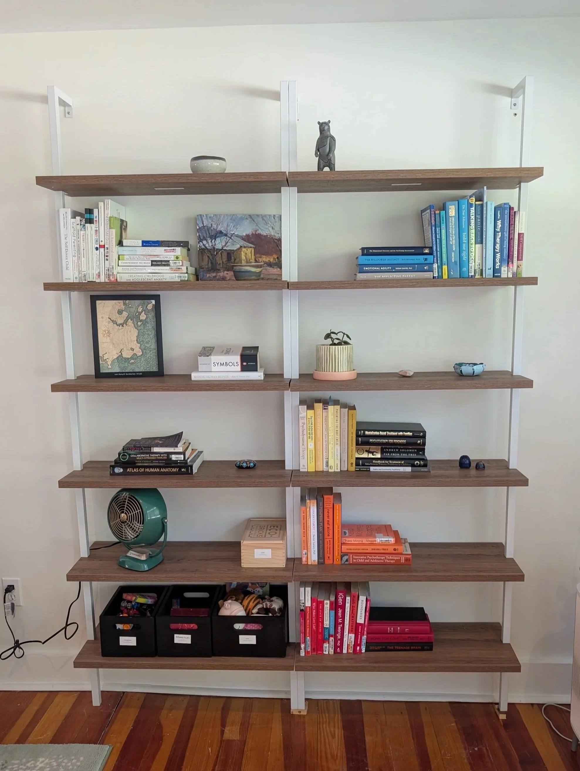 Bookshelf in a psychiatry office in Seal Harbor on Mount Desert Island, Maine