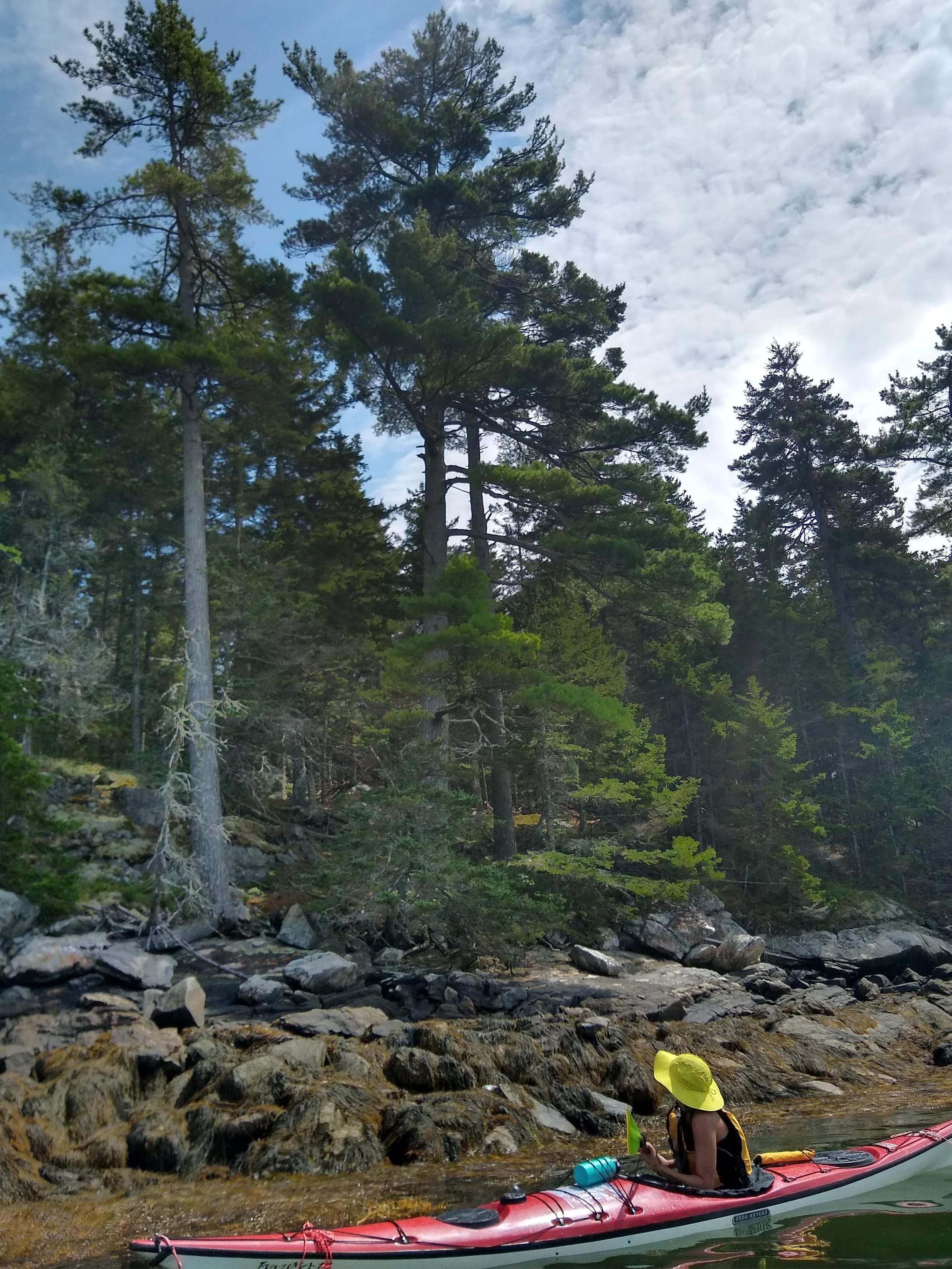 Lauren Manning, MD kayaking in coastal Maine