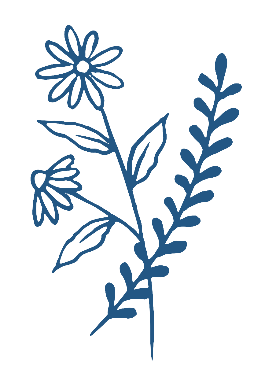 Wildwell Logo: a blue line drawing of flowers and leaves on a white background.