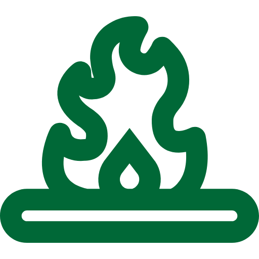 Green fire icon with flames on a horizontal line