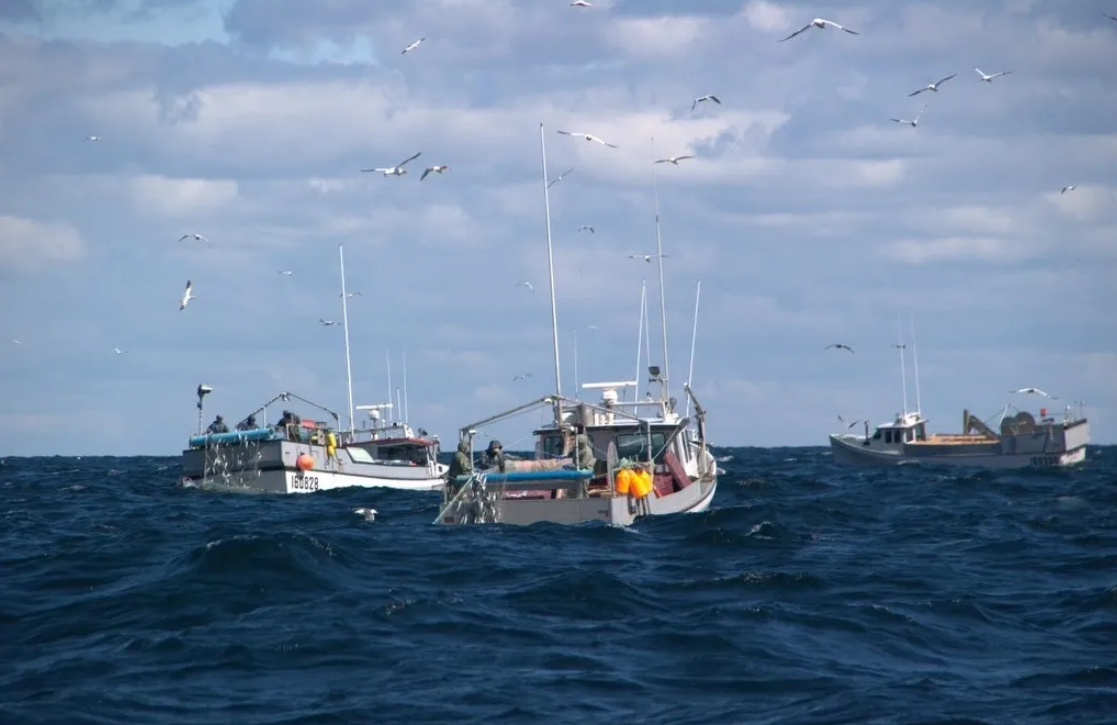 Fishing boats at sea with seagulls flying overhead under a cloudy sky.