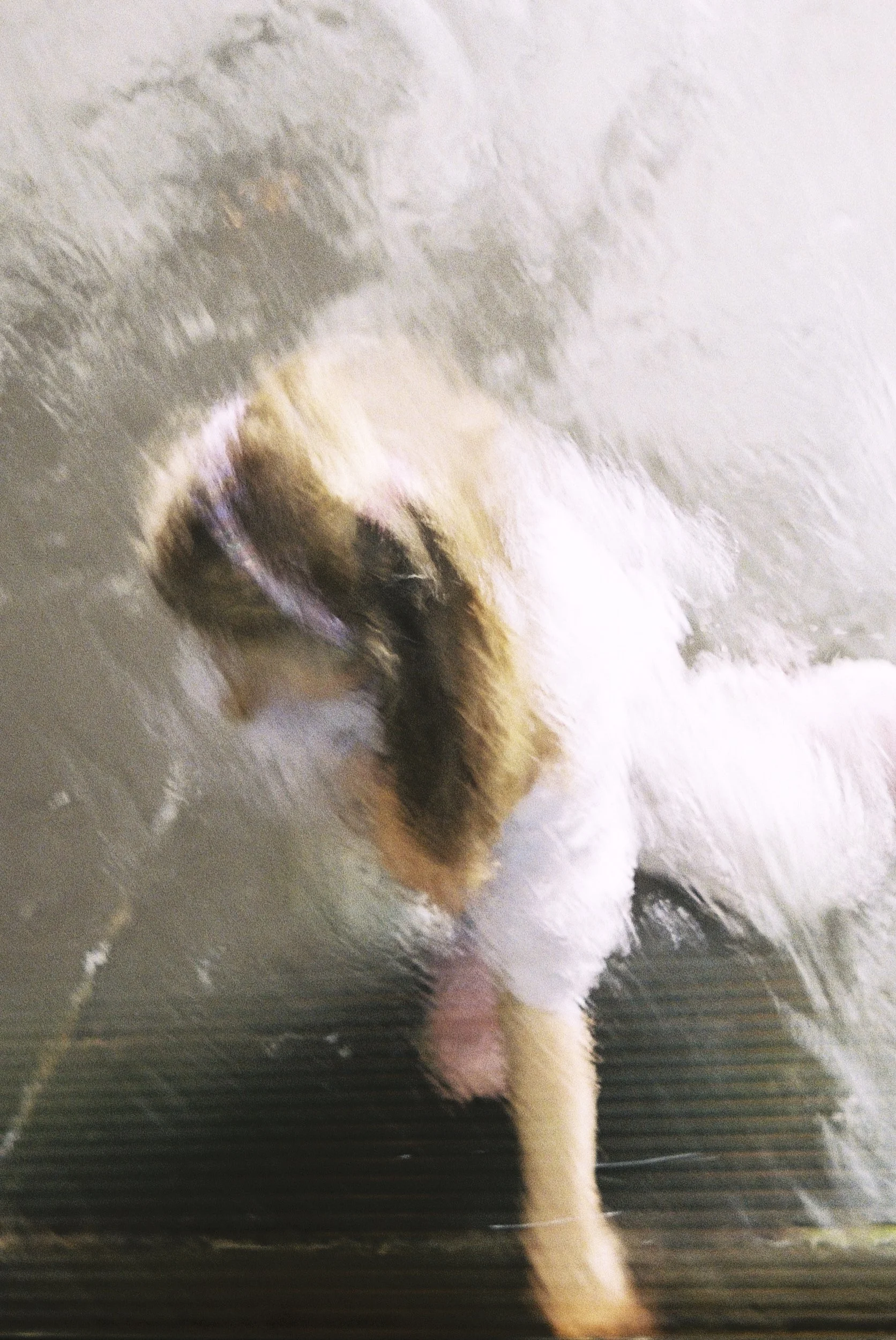Bron Eager NGV Water Wall 2 2.jpg