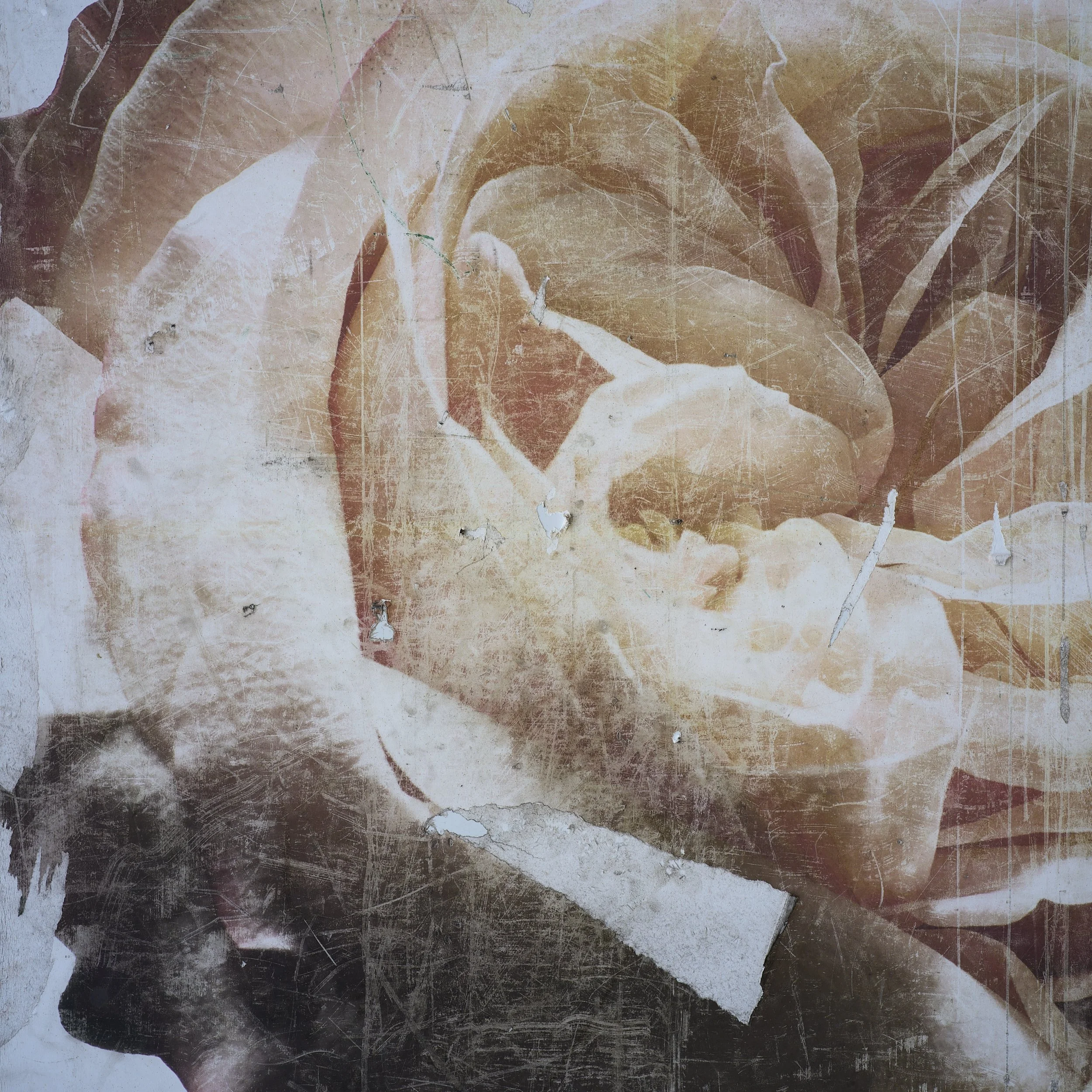 Bron Eager Photography 12.jpg