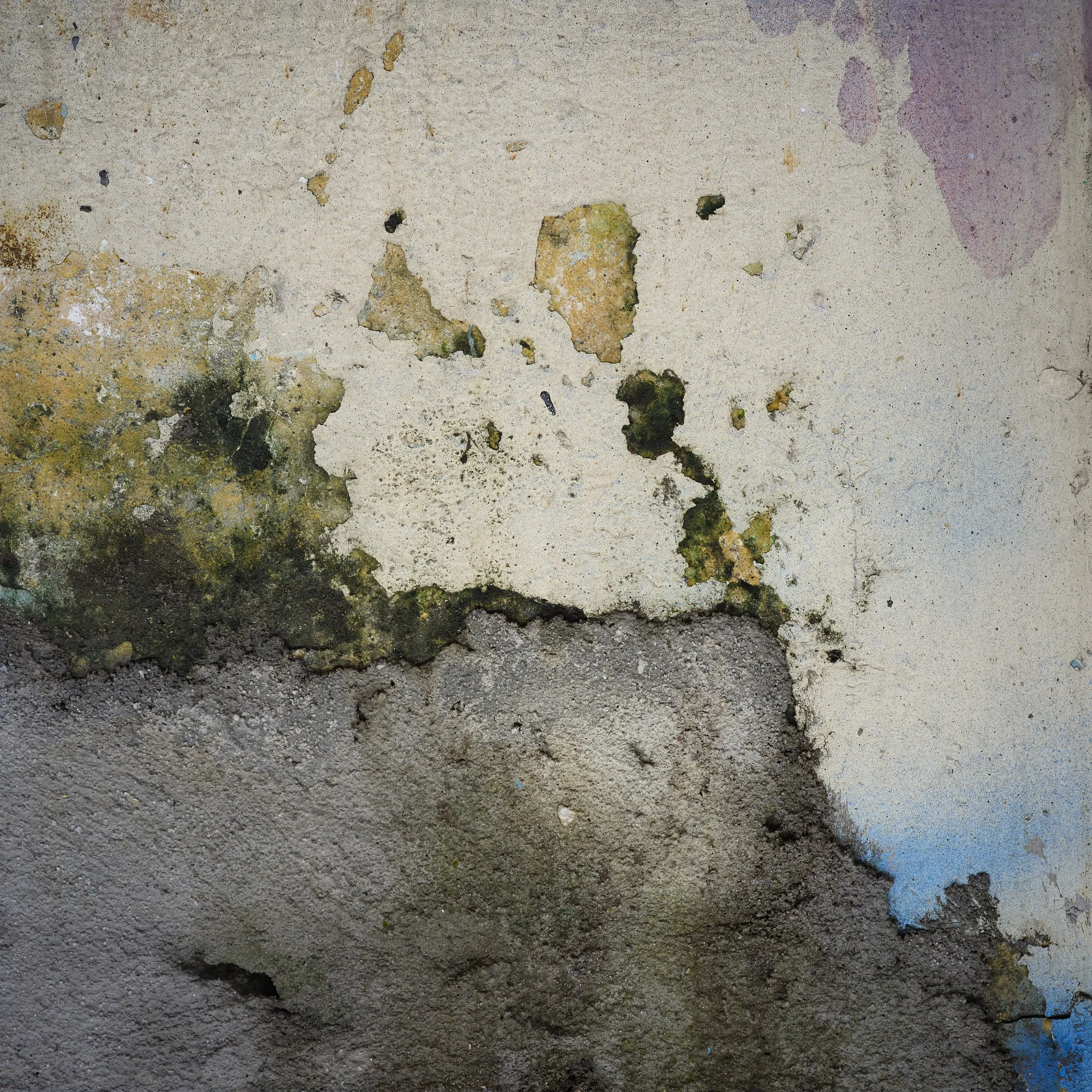 Bron Eager Photography 4.jpg