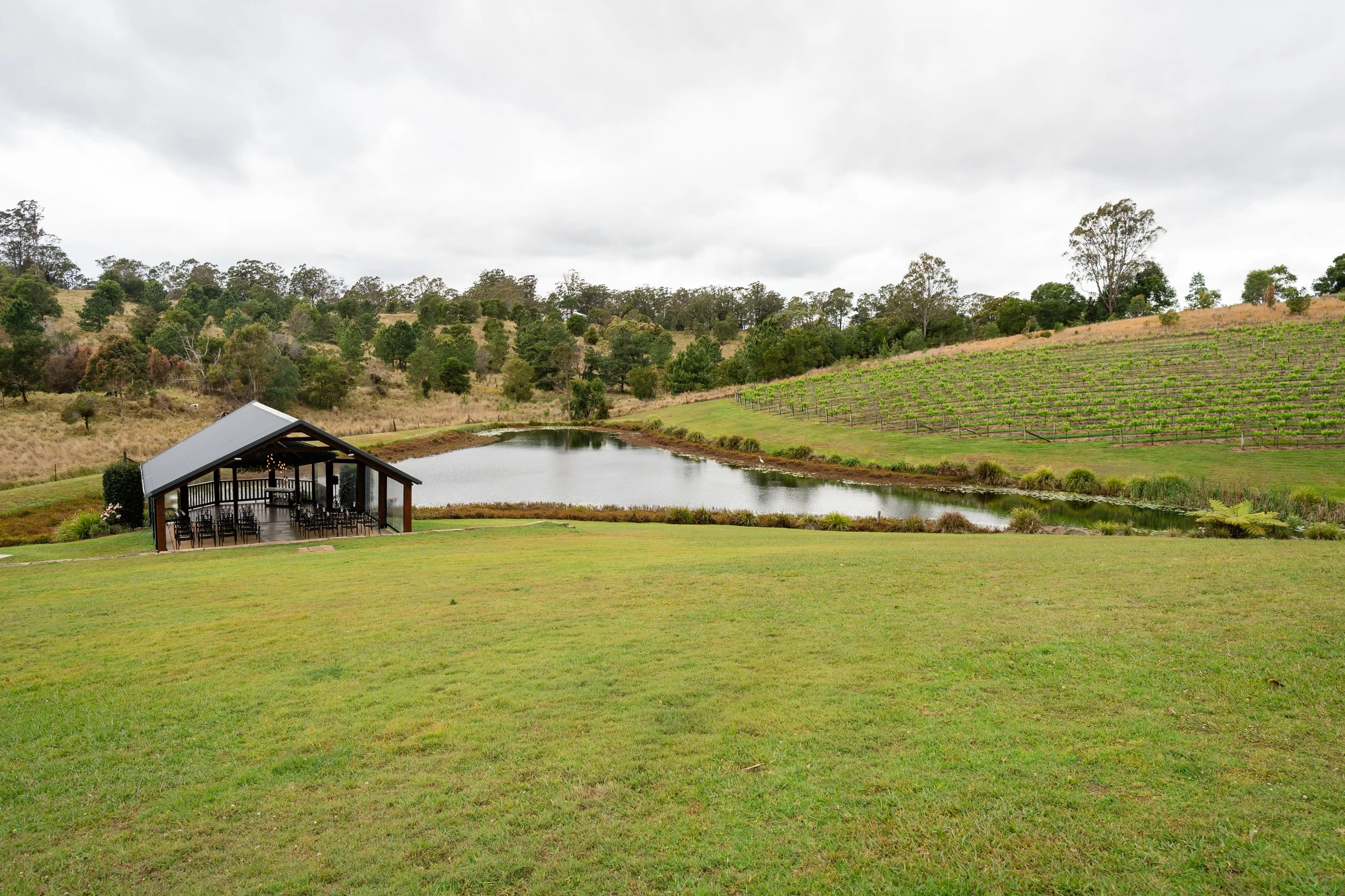 DLSG_BNE03652-240.jpg