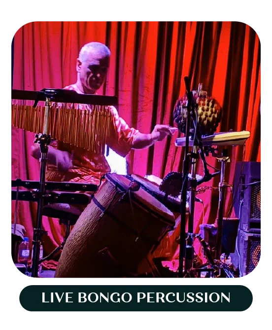 Bongo.webp