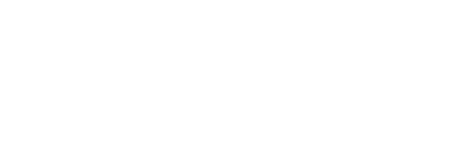 DTMako signature logo in white - DTMako author of Parhelia Pair