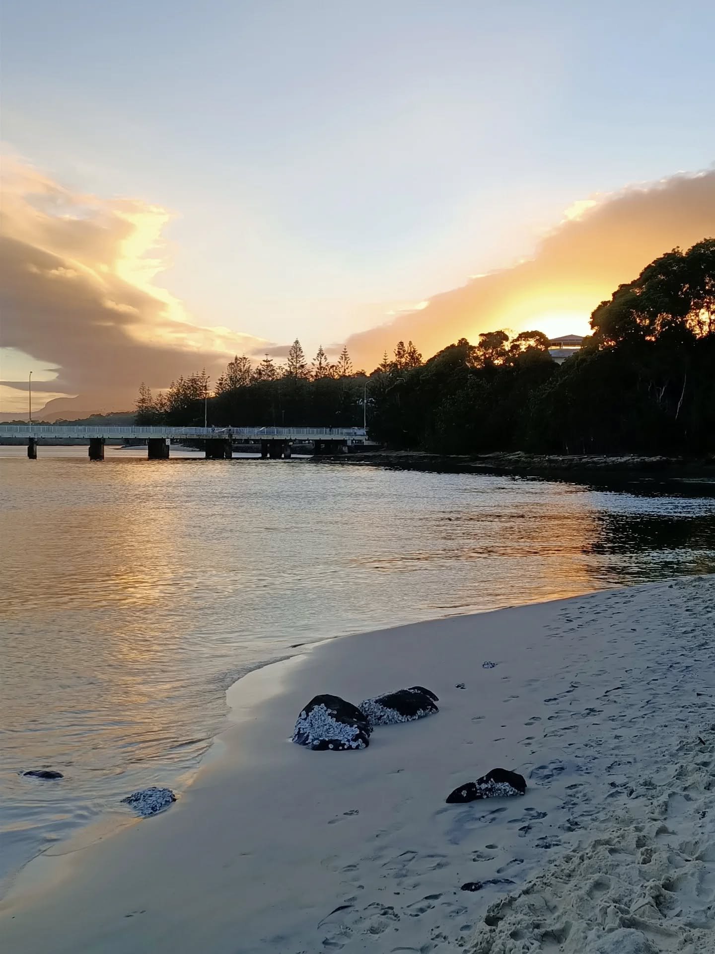 🐍 The year of the snake, a year of amazing people, memories, transformations, connections, upgrades, growth &amp; absolute fkin love! 

Thank you to my people, you know who you are! 💕

Bring on the year of the horse 🐎 We ride towards success at da