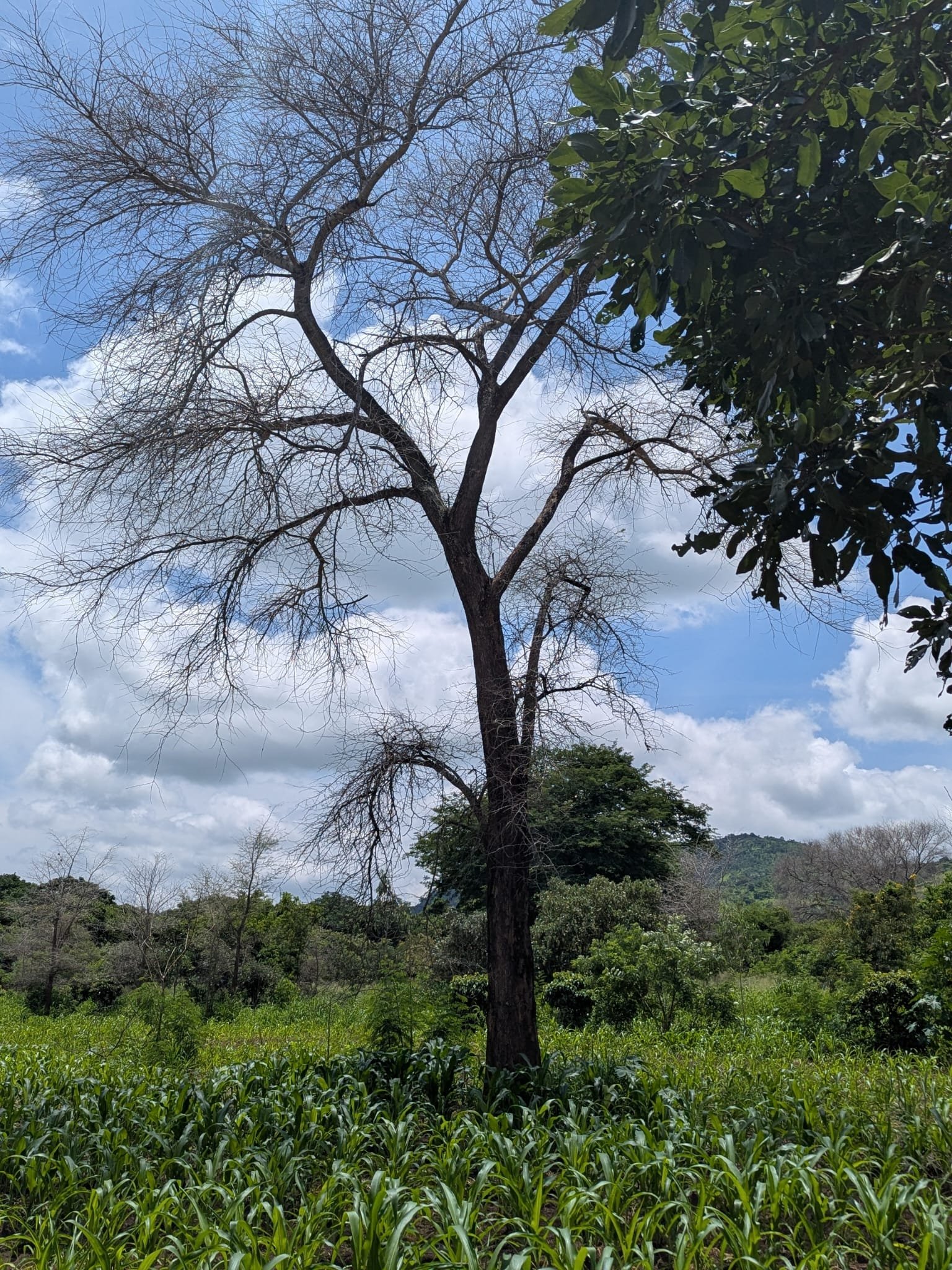 WhatsApp Image 2026-03-20 at 14.52.08.jpeg