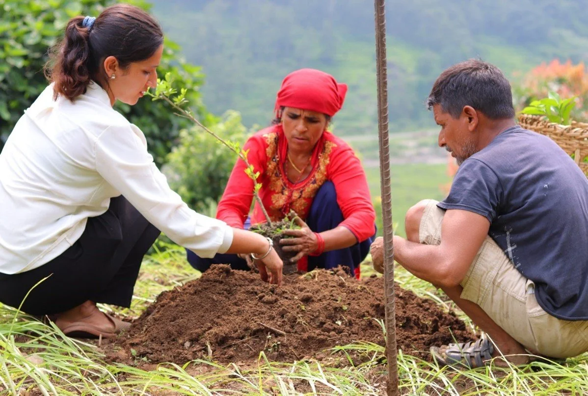 Tree planting in Nepal