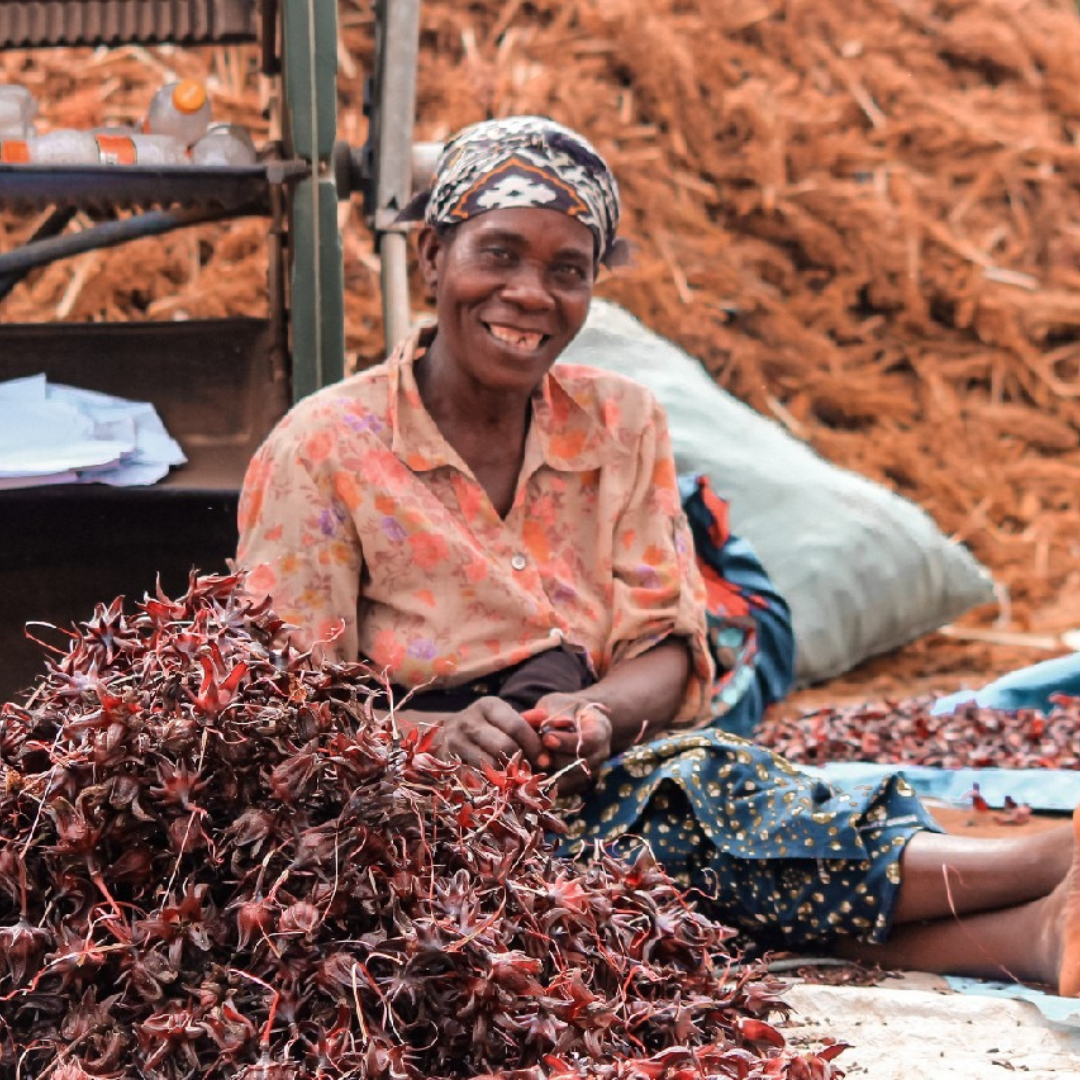 A woman sitting on the ground with a pile of red and purple leaves or plants in front of her, smiling at the camera, with a background of wooden debris and a pillow behind her.