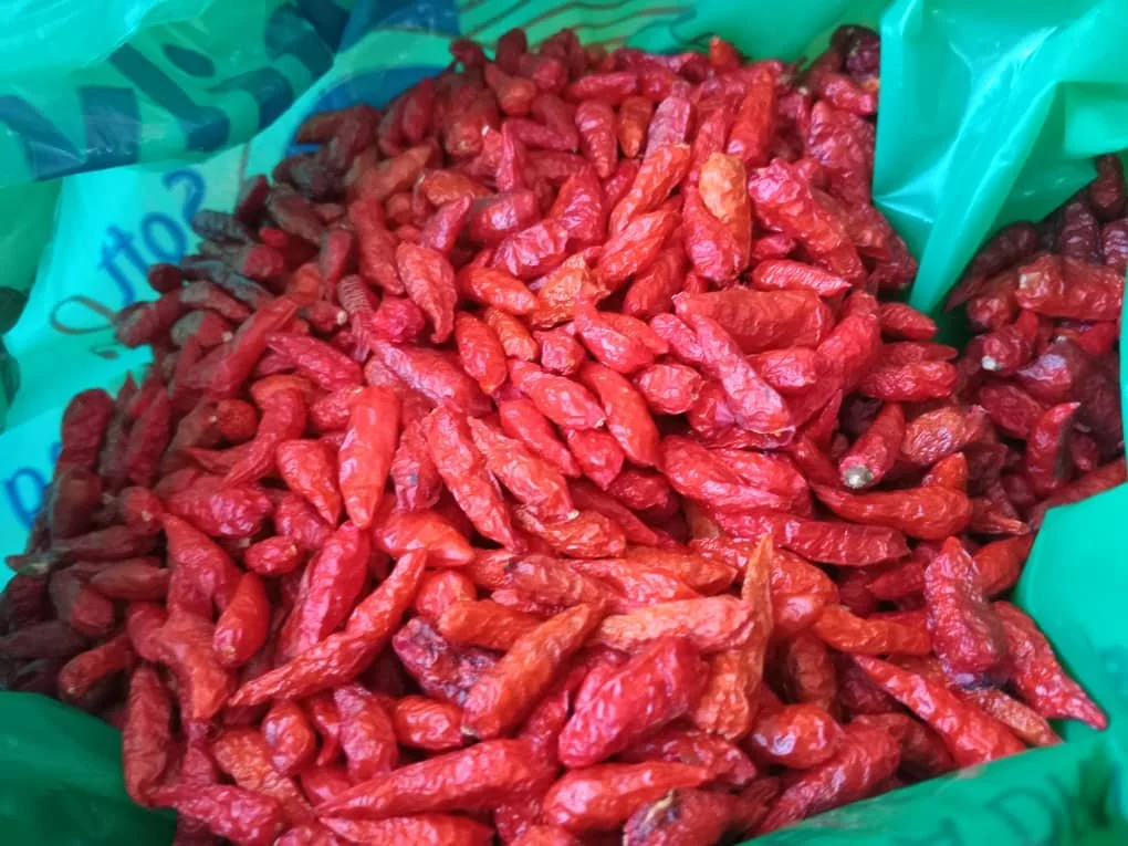 Bird's eye chili.jpeg