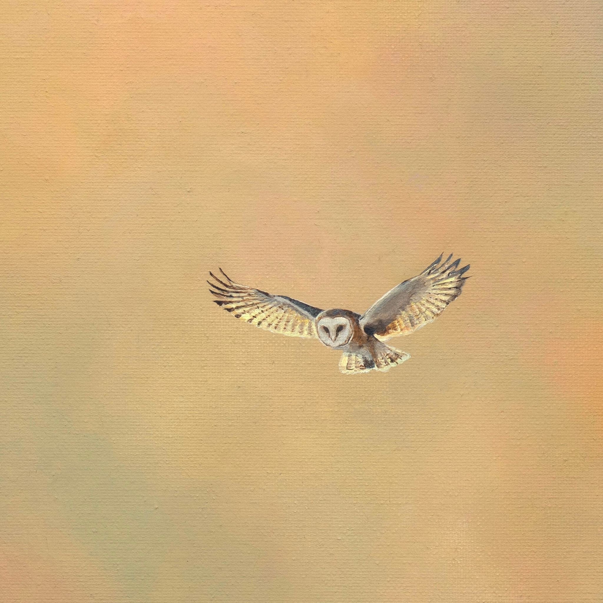 steph-cork-barn-owl-painting.jpg