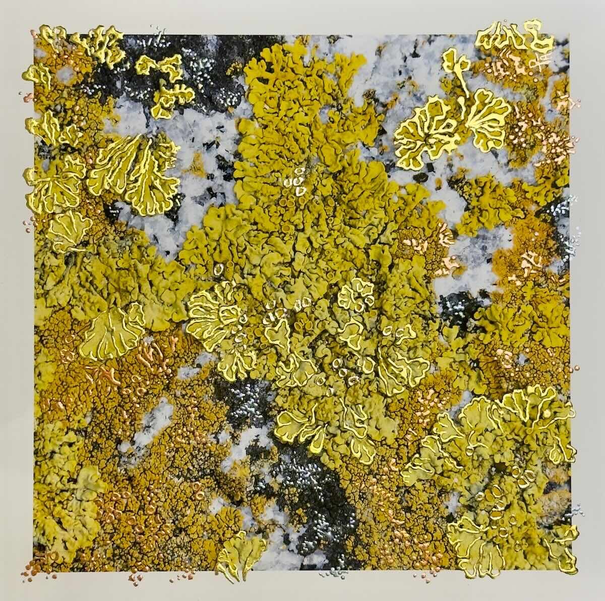 Meet Pari Aazami: Wild Alchemy, Moonrise at Dusk and the Art of Looking Closely