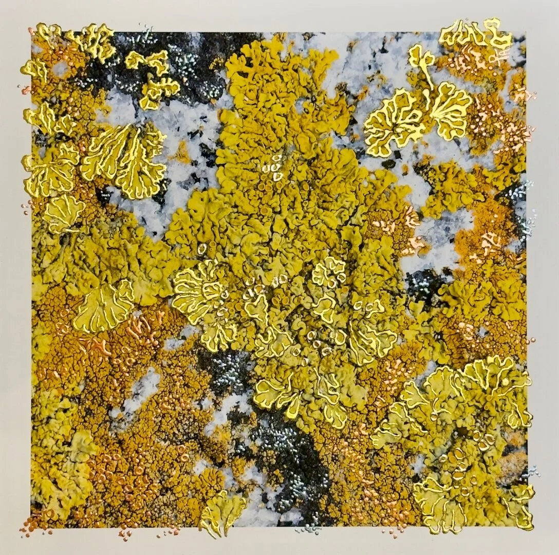 Ambers in Bloom | 46 x 46 cm | Mixed media with gold leaf 